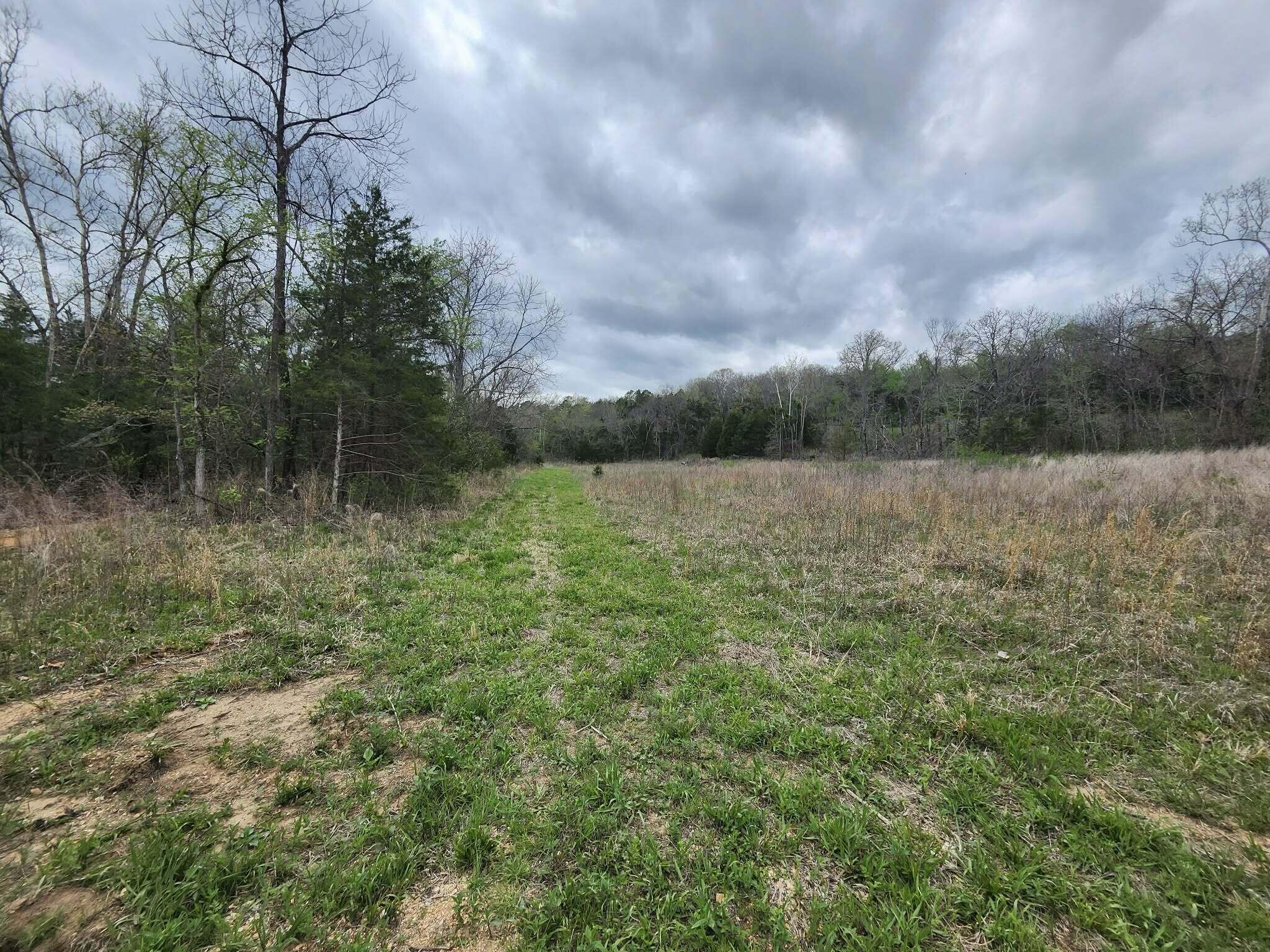 0 County Road 250-80 Property Photo 6