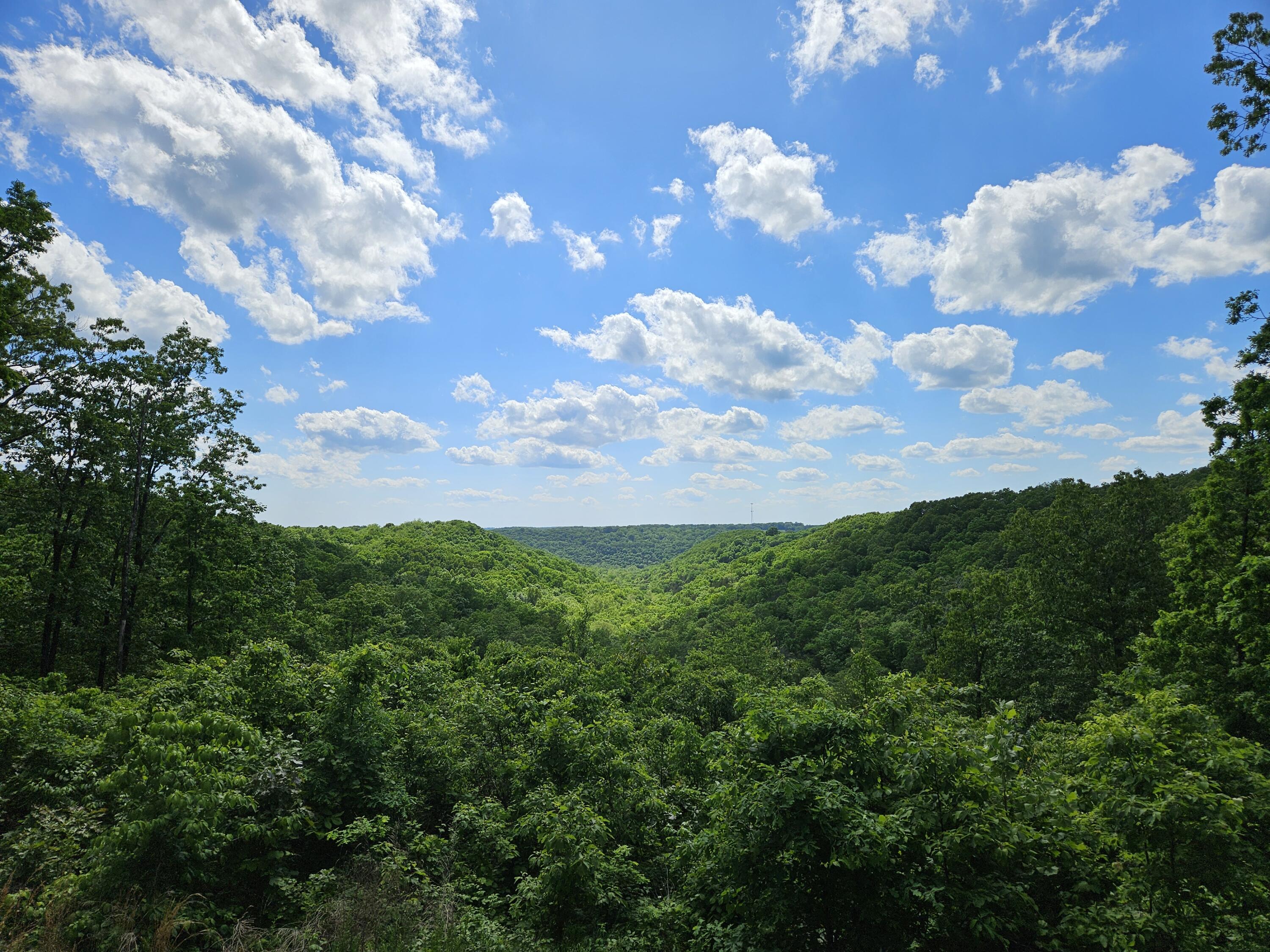 2489 Logan Ridge Road Property Photo 2
