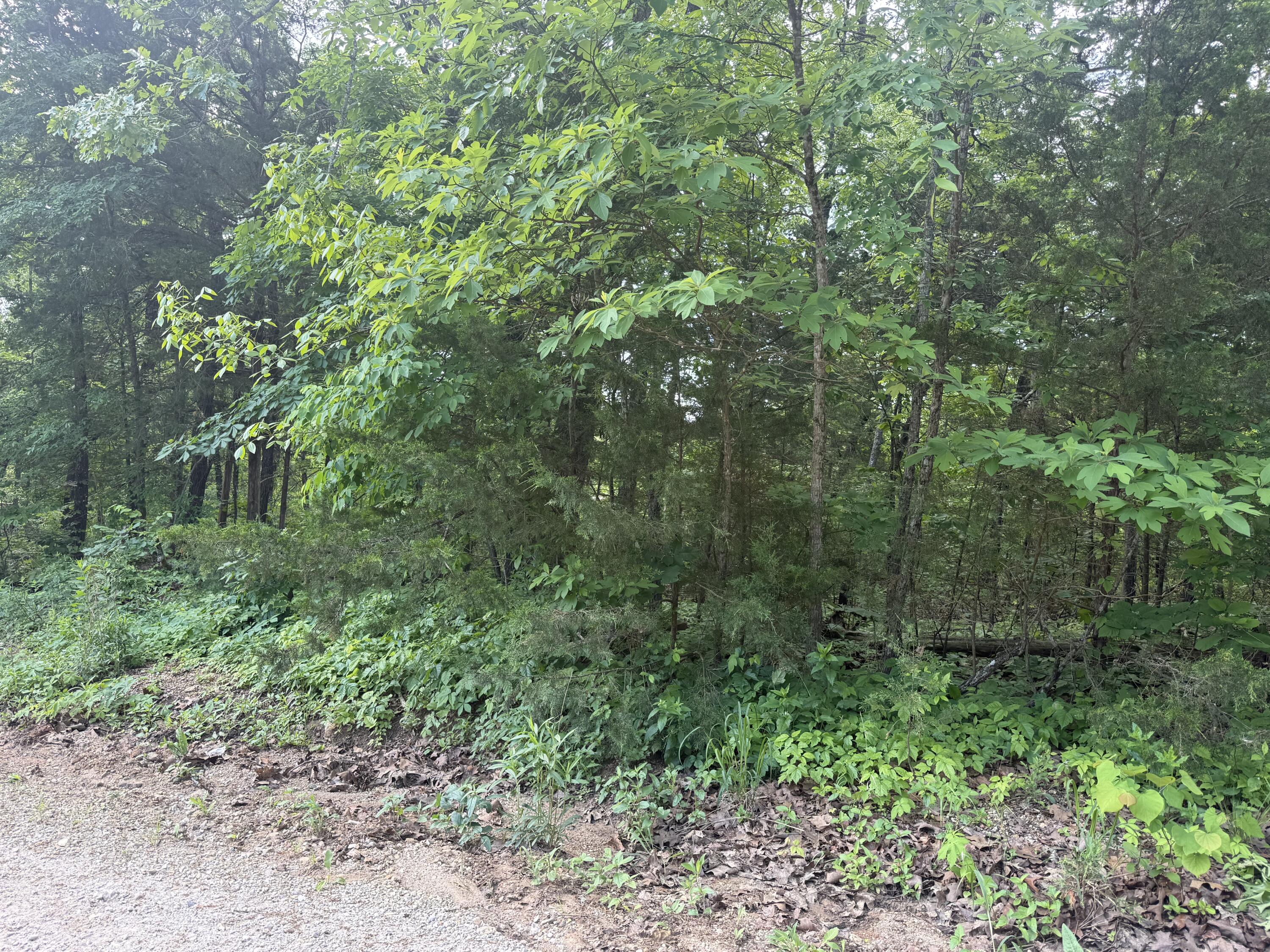 140 Trout Street Property Photo 3