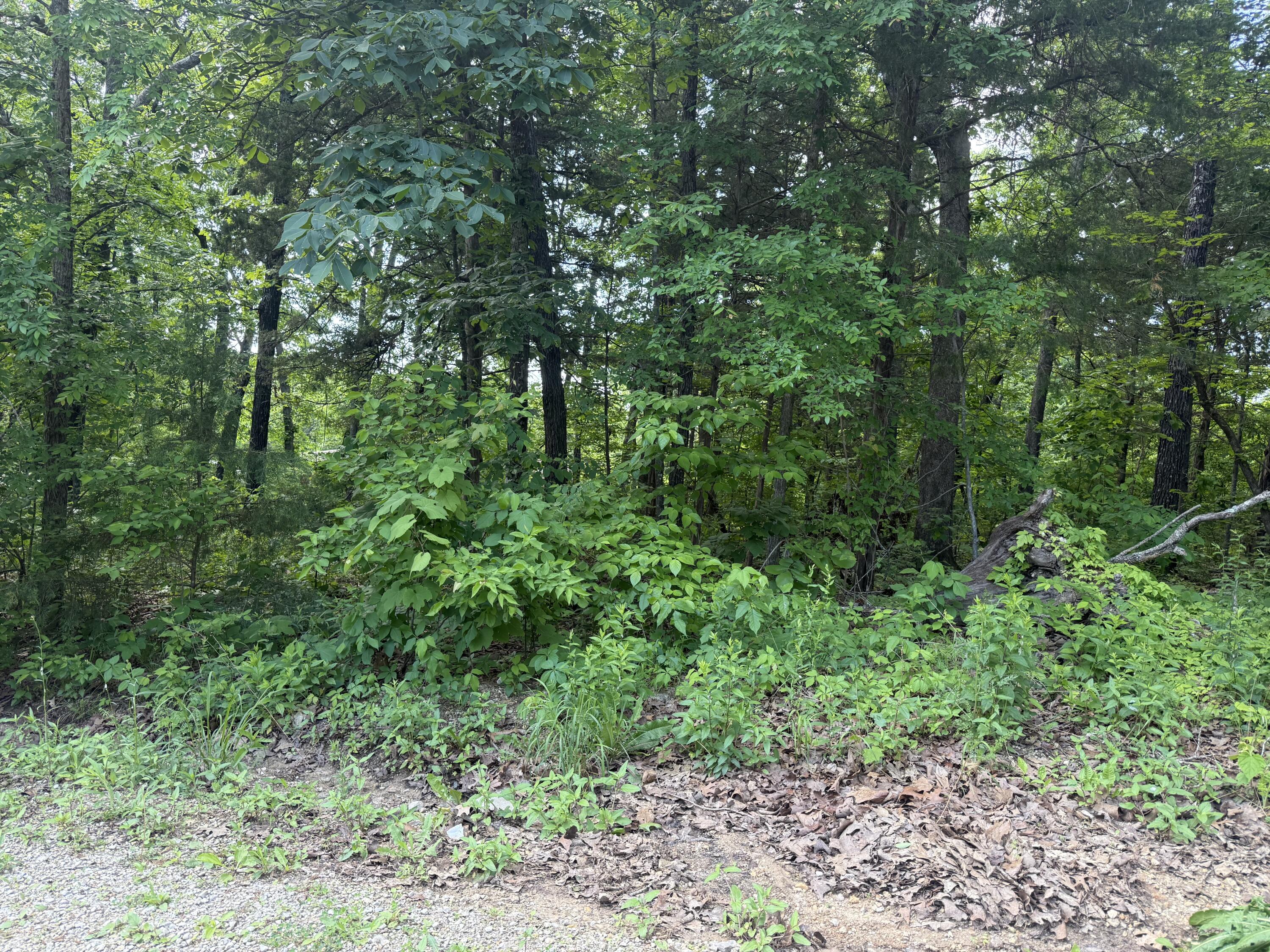 140 Trout Street Property Photo 4