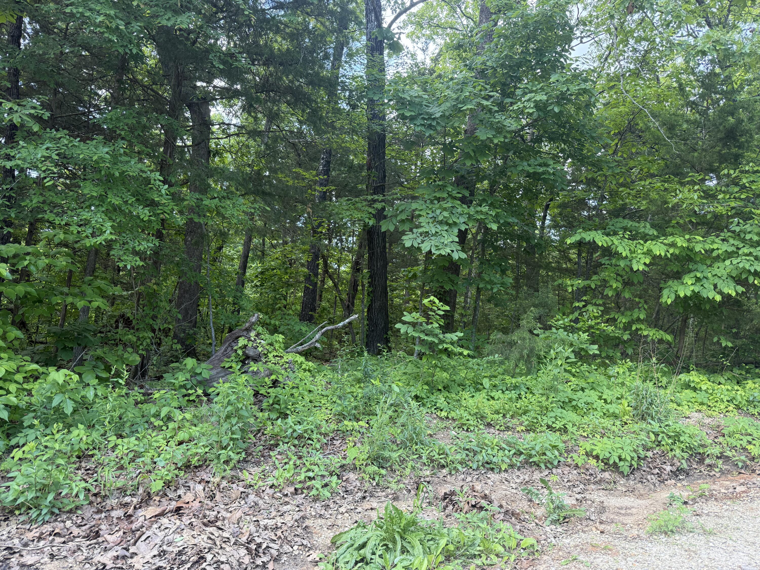 140 Trout Street Property Photo 5