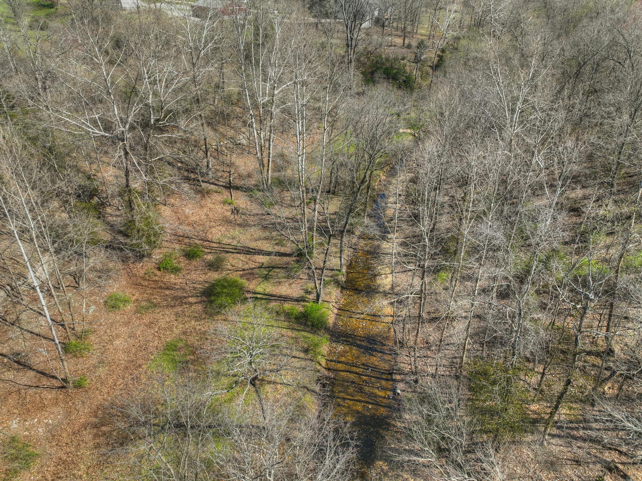 485 Jaguar Road Property Photo 4