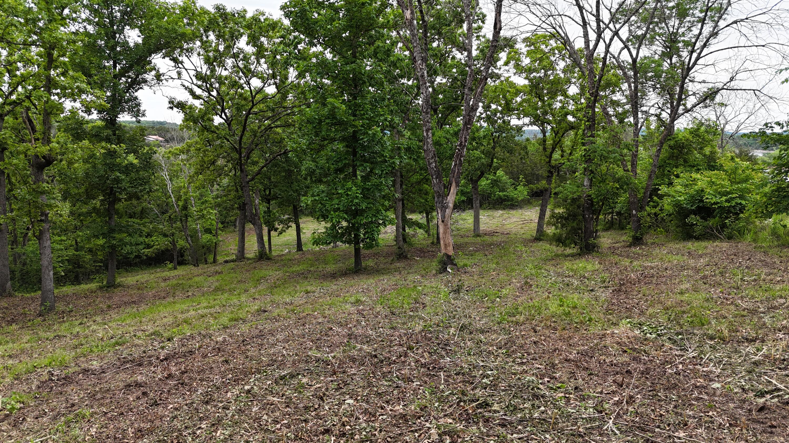 000 Eagles Point Lane Property Photo 14