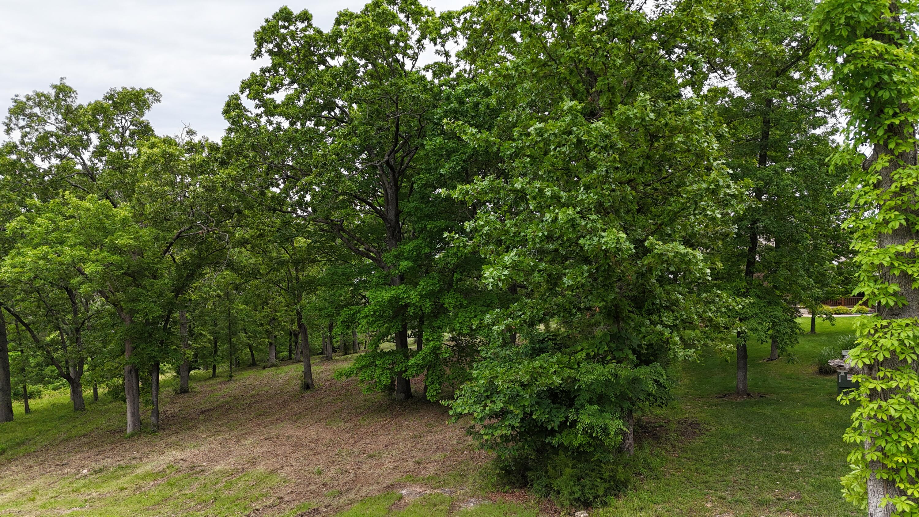 000 Eagles Point Lane Property Photo 15