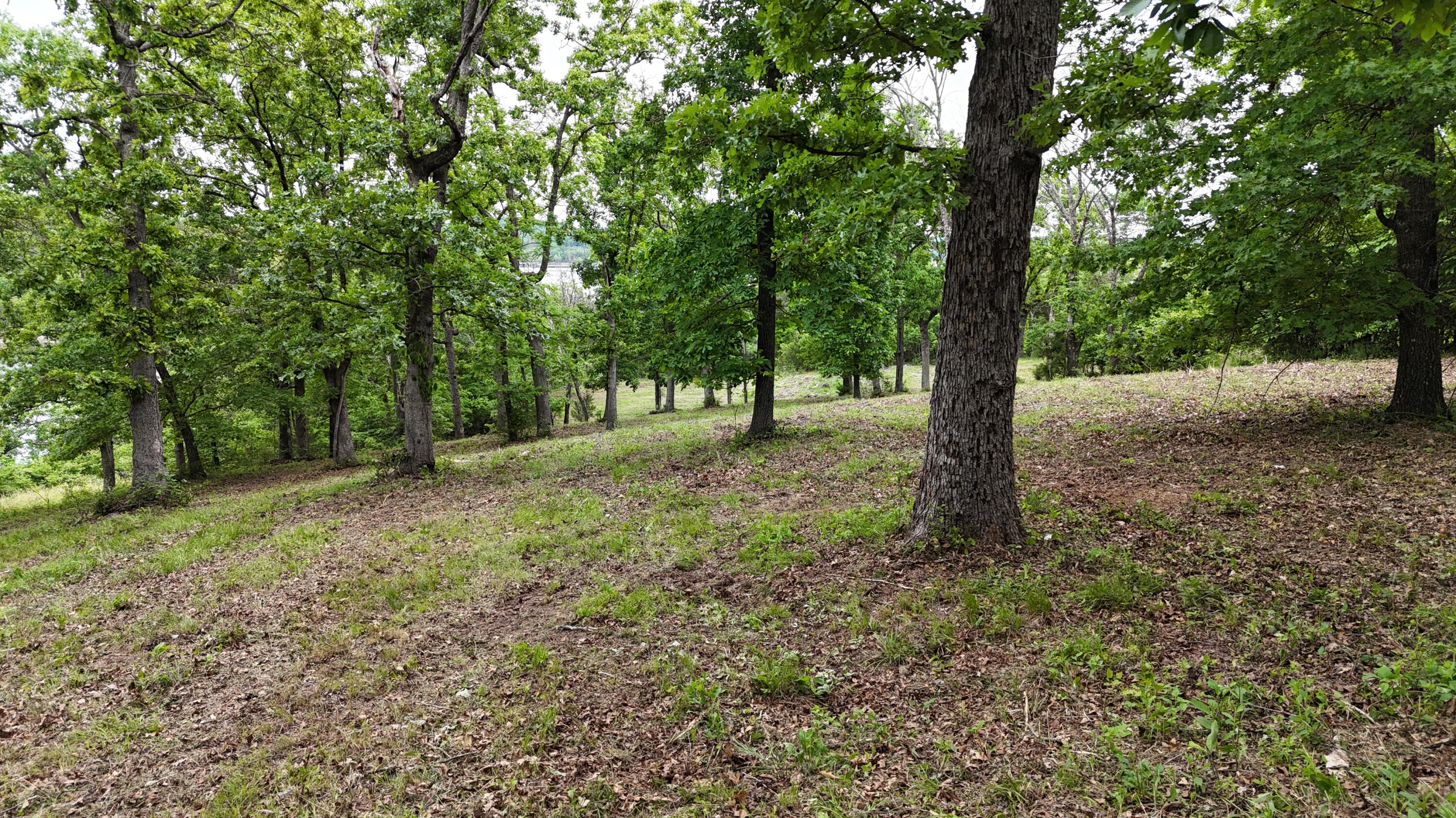 000 Eagles Point Lane Property Photo 16