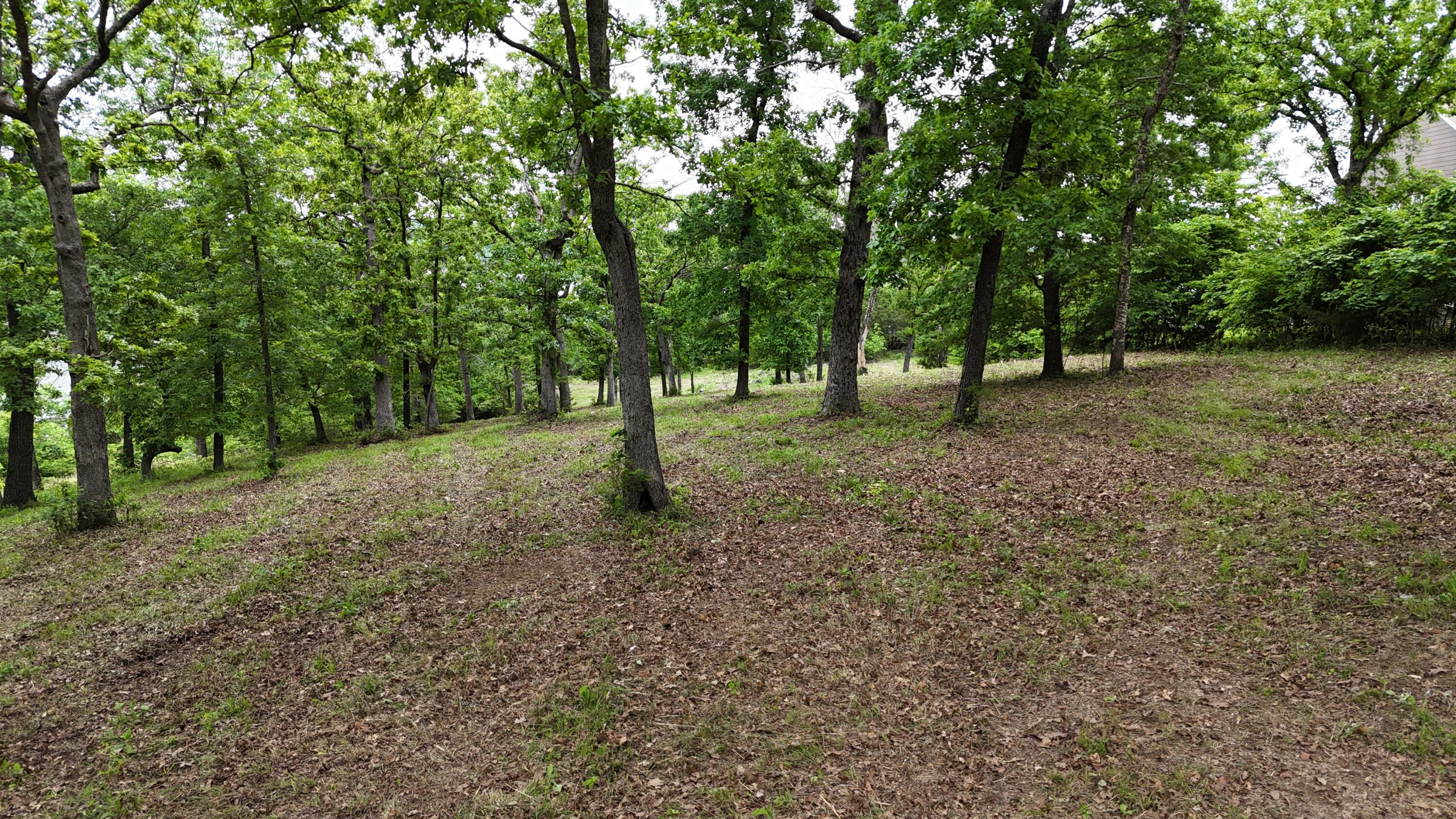 000 Eagles Point Lane Property Photo 17