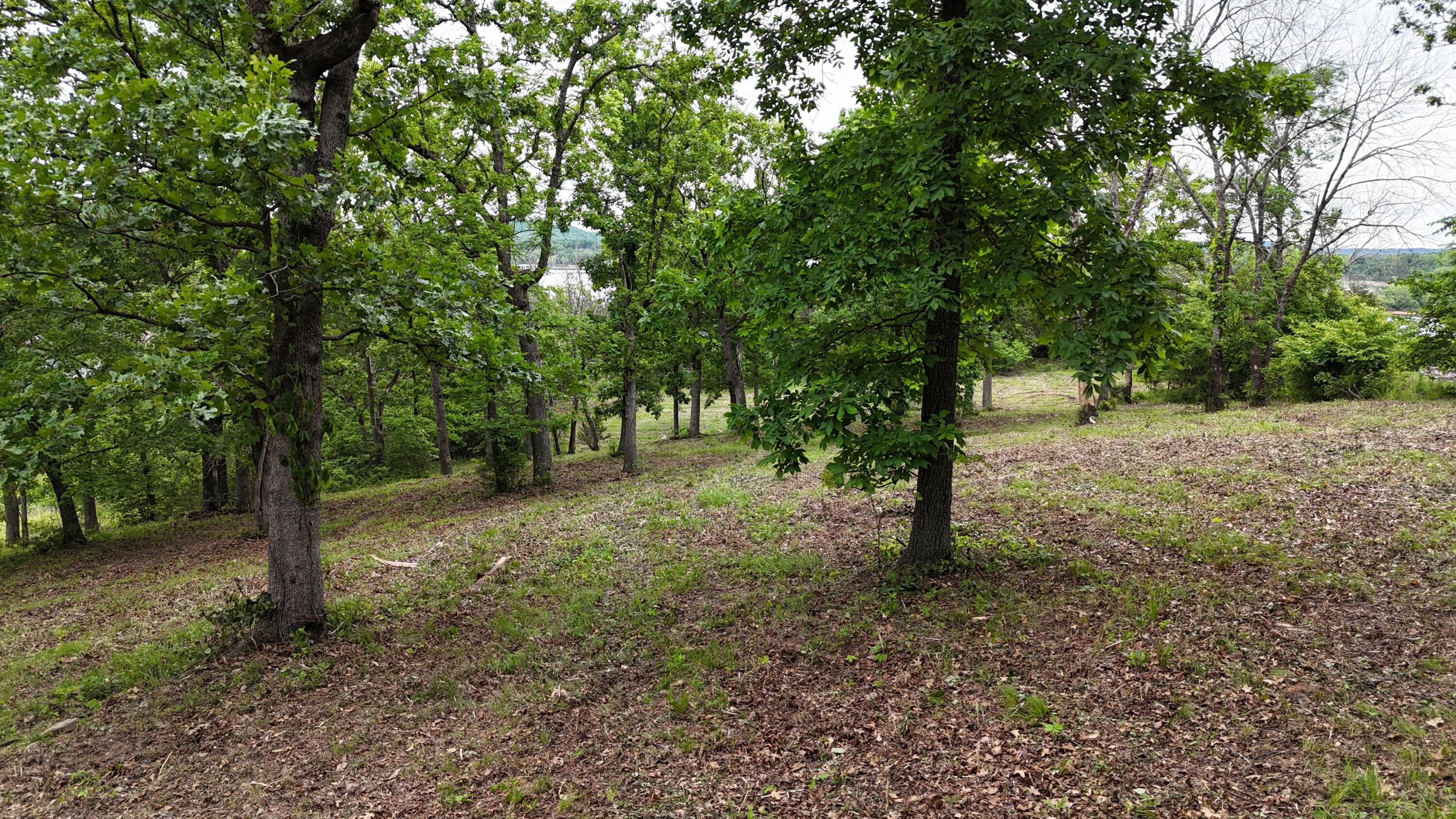 000 Eagles Point Lane Property Photo 18