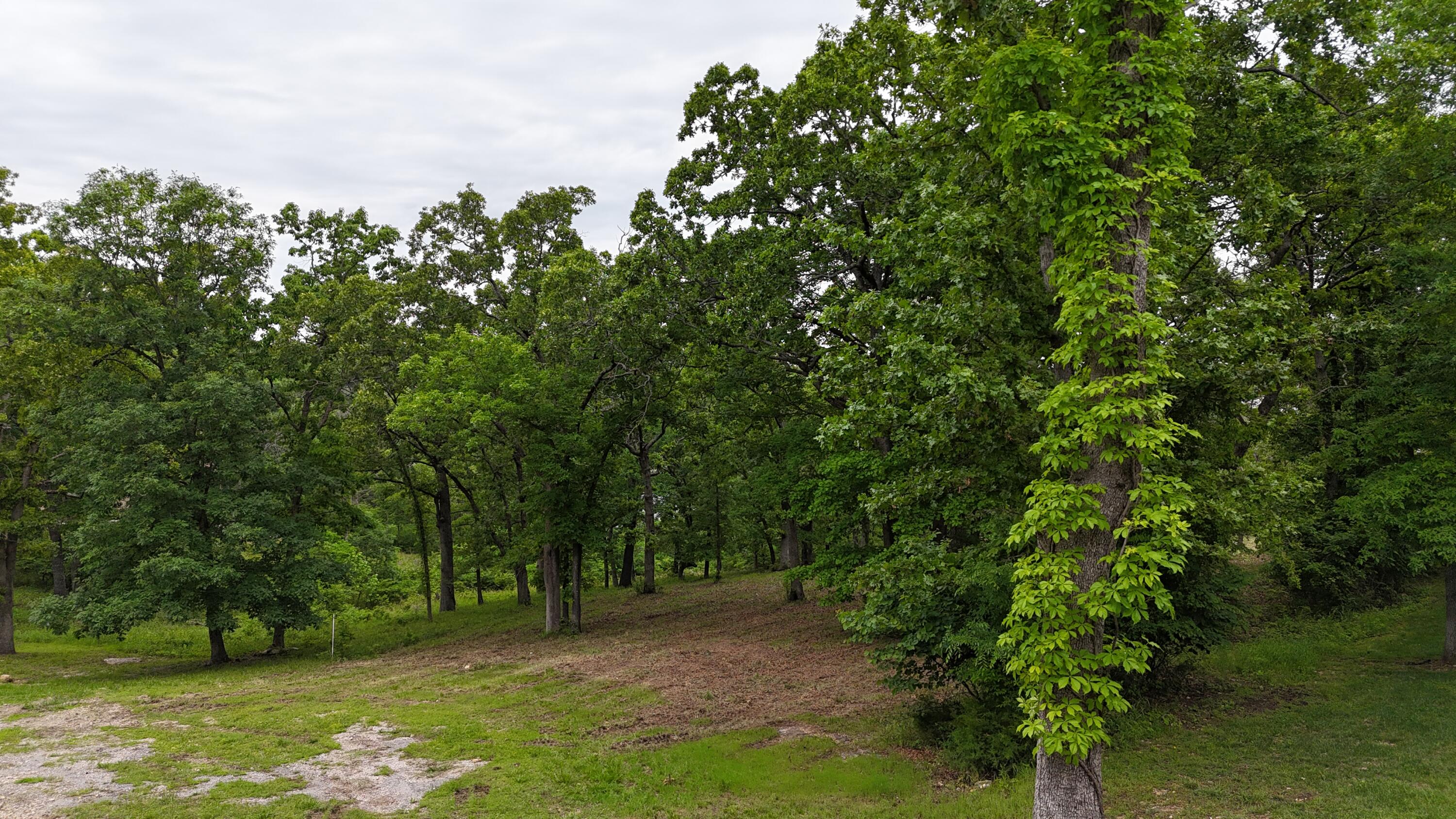 000 Eagles Point Lane Property Photo 19