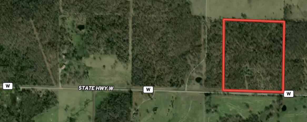 3991 State Highway W Property Photo 2