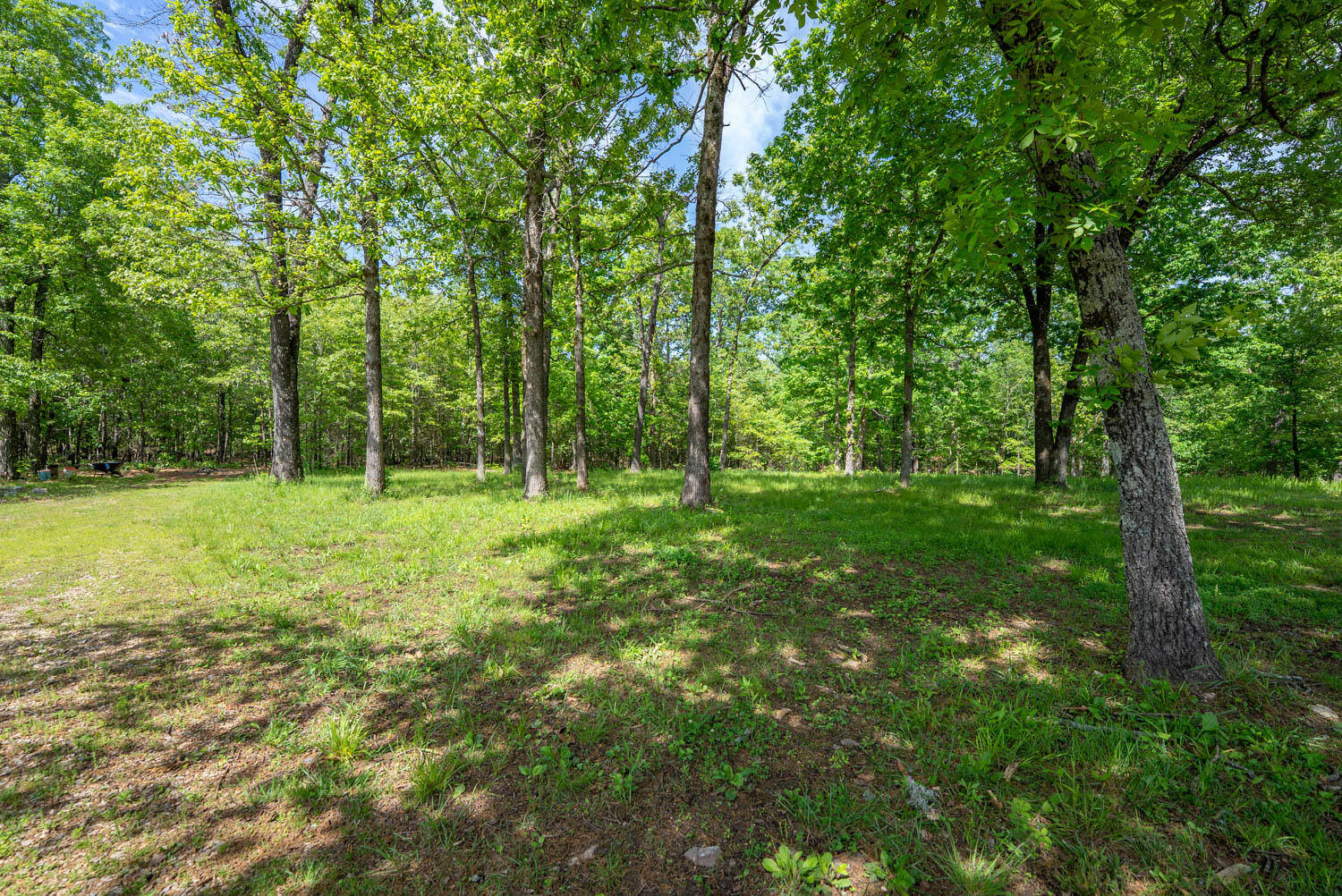 3991 State Highway W Property Photo 46