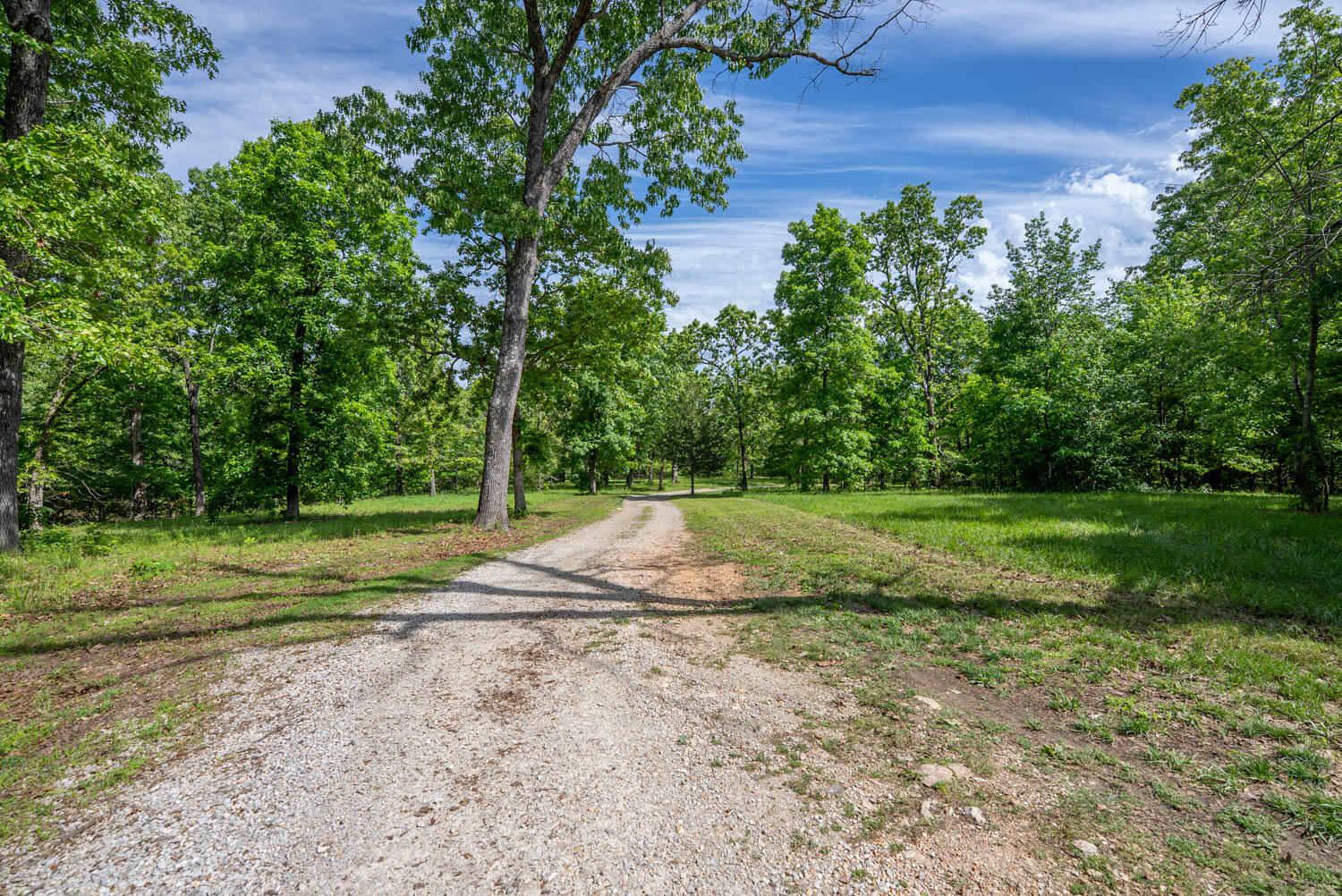 3991 State Highway W Property Photo 48