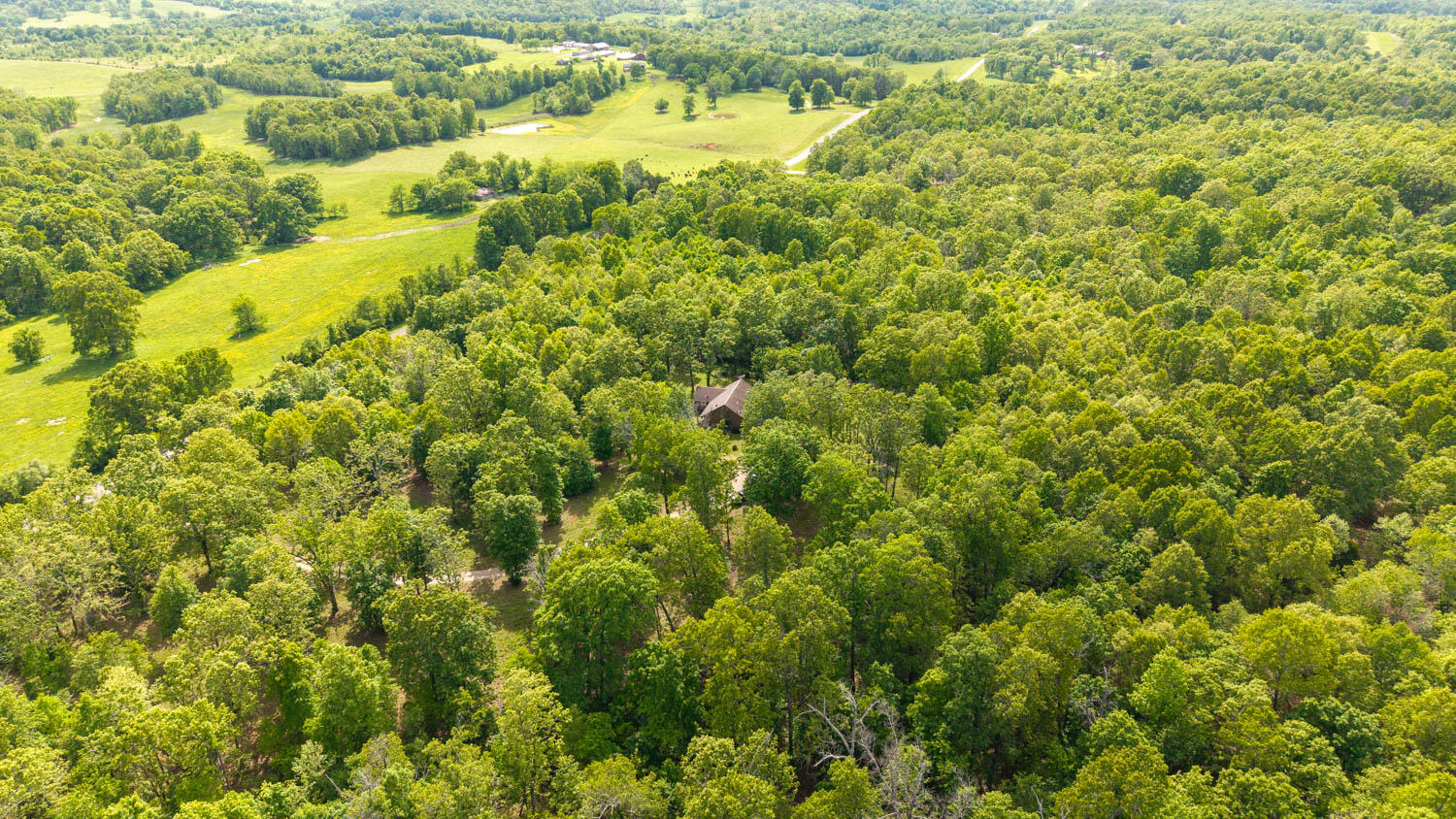 3991 State Highway W Property Photo 54