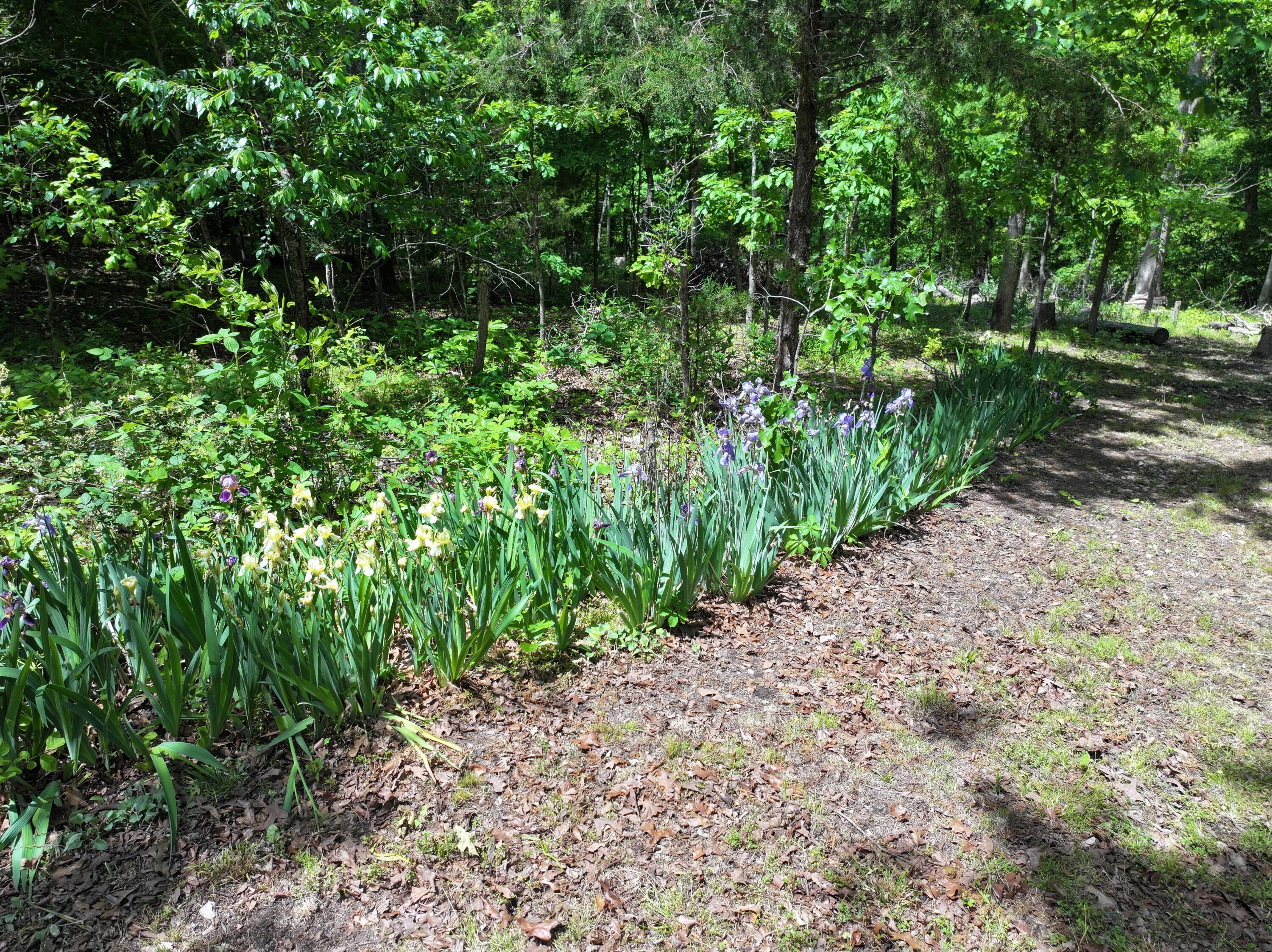 589 Hickory Lane Property Photo 12