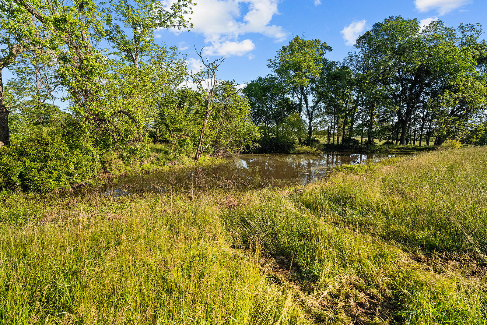24672 Farm Road 2012 Property Photo 26