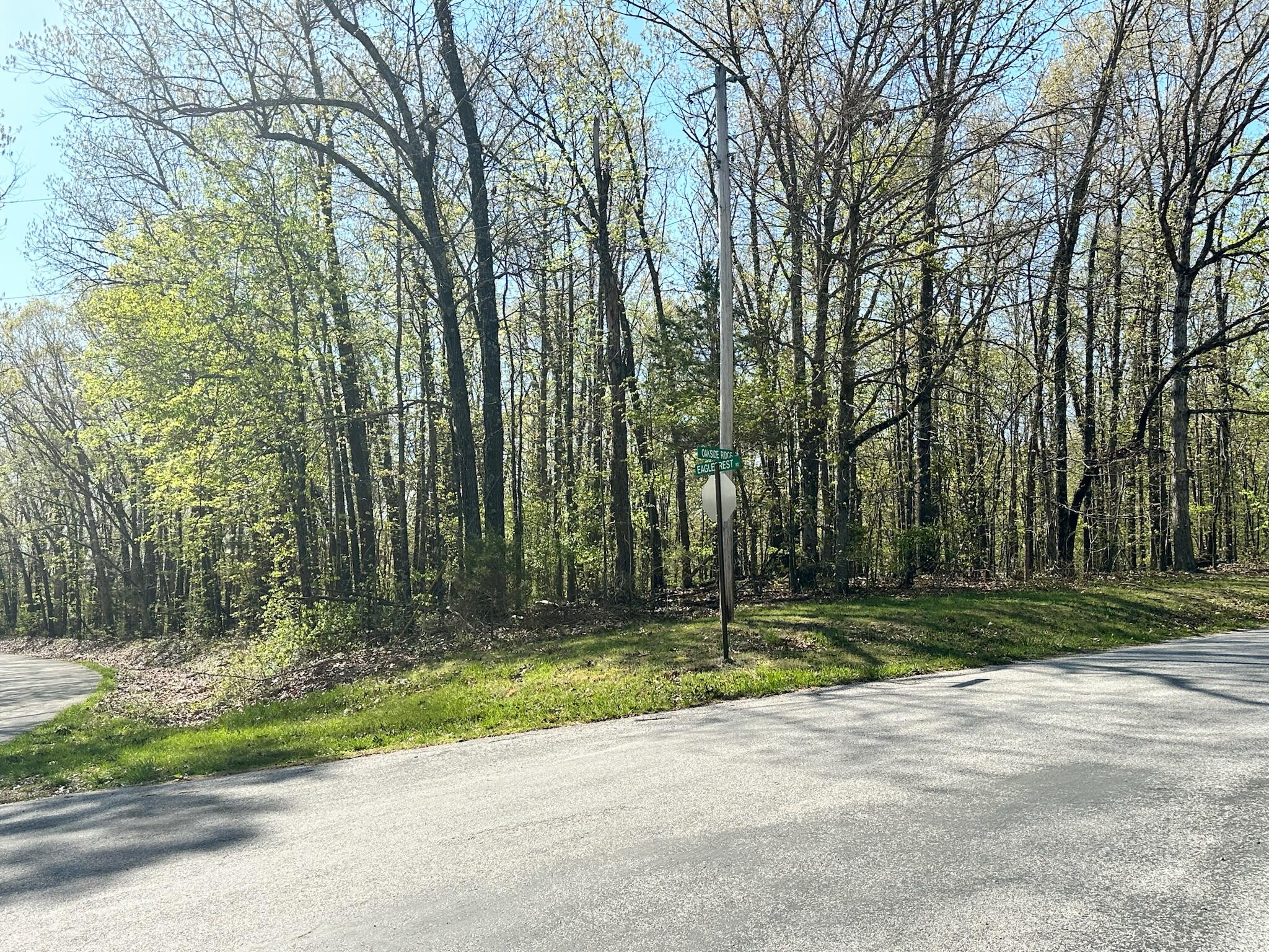 L42a & 43a Eaglecrest Road Property Photo 1