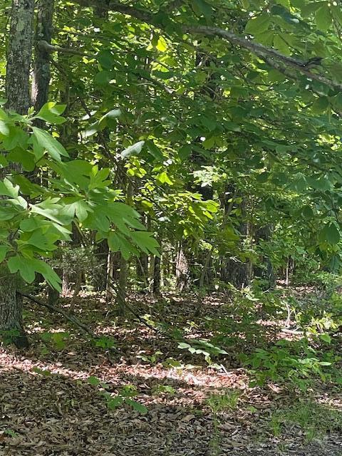 L42a & 43a Eaglecrest Road Property Photo 2
