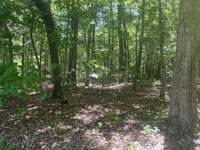 L42a & 43a Eaglecrest Road Property Photo 8