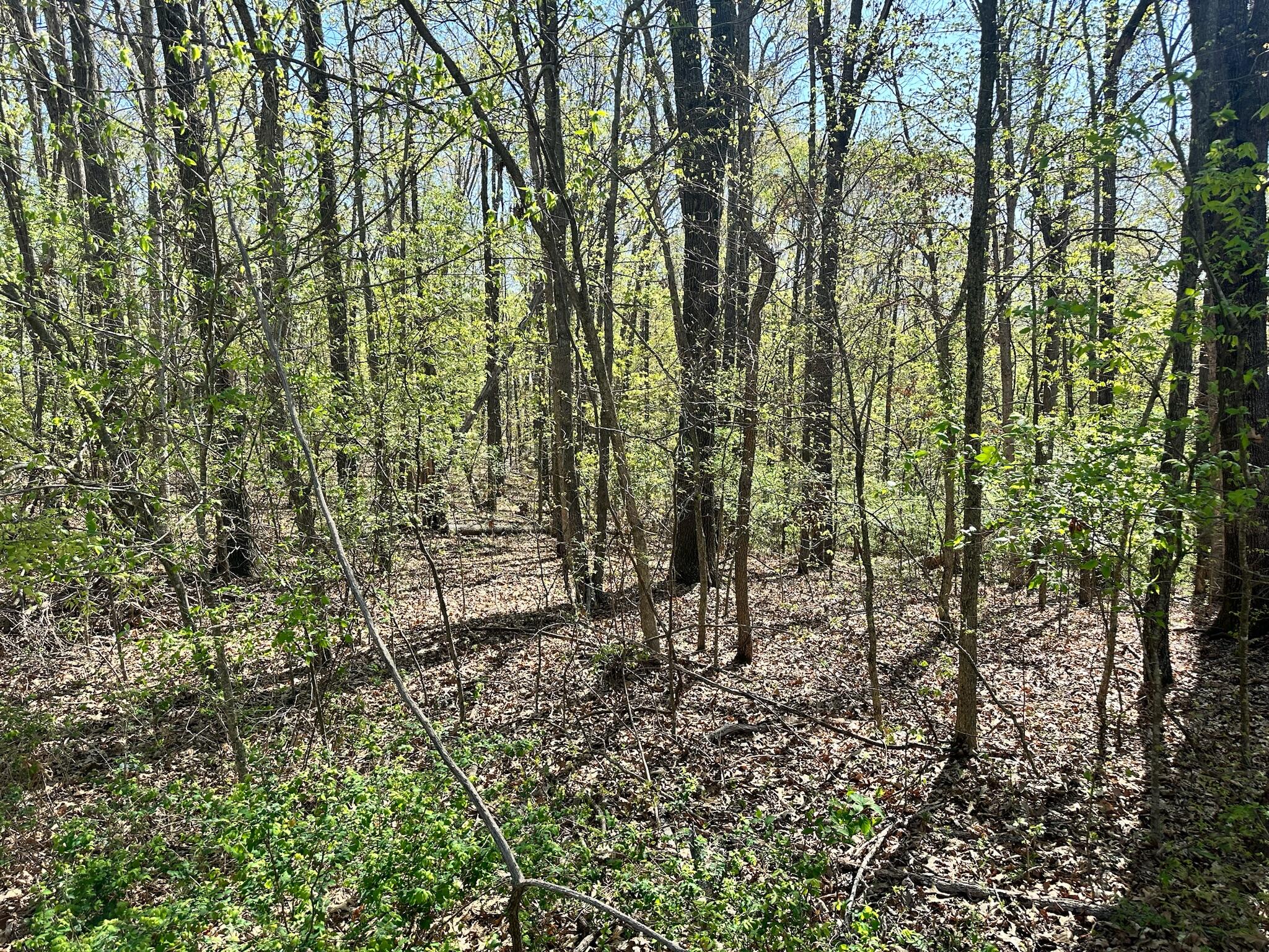 L42a & 43a Eaglecrest Road Property Photo 11