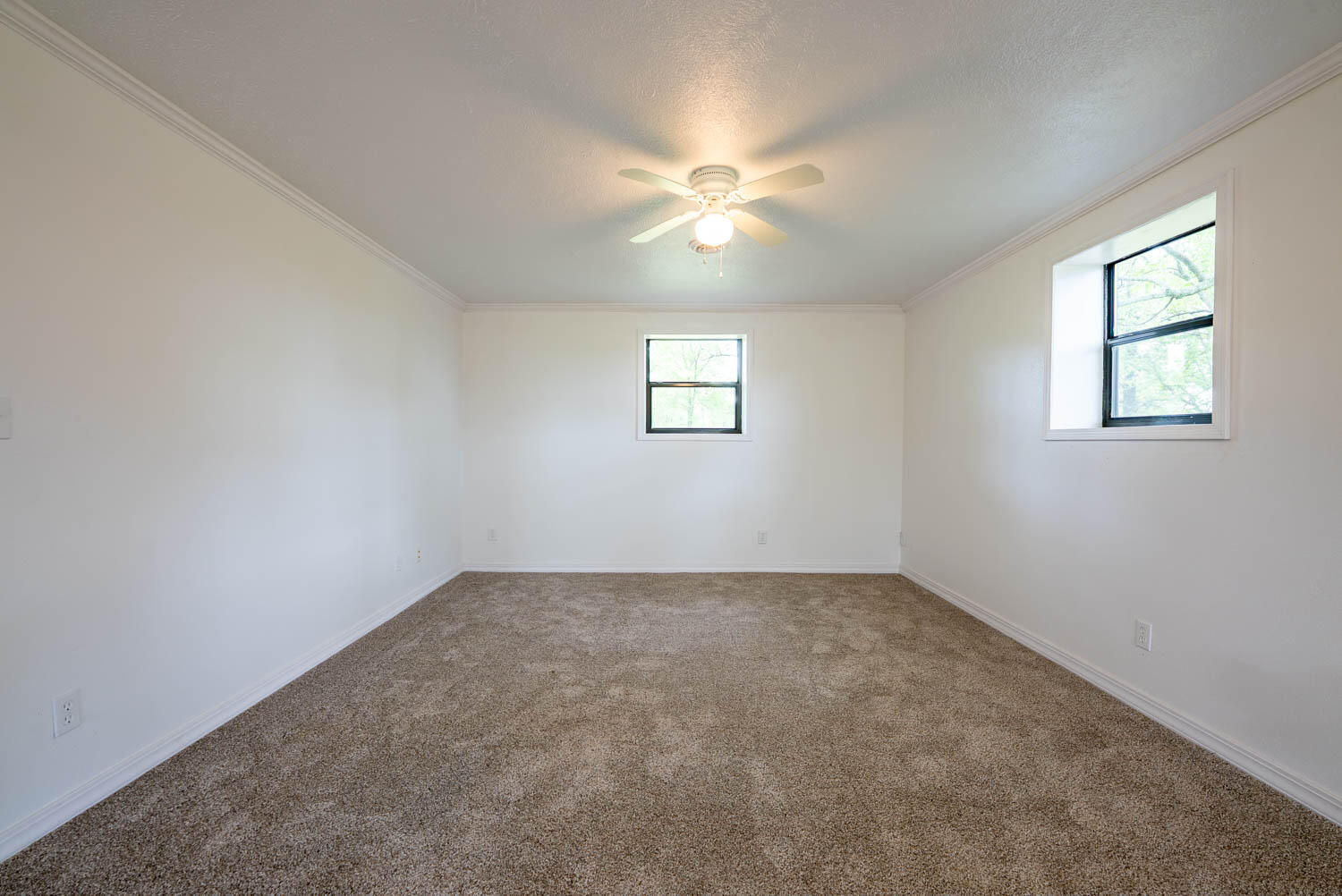 866 County Road 328 Property Photo 15