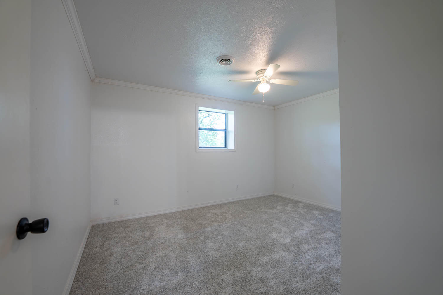 866 County Road 328 Property Photo 19