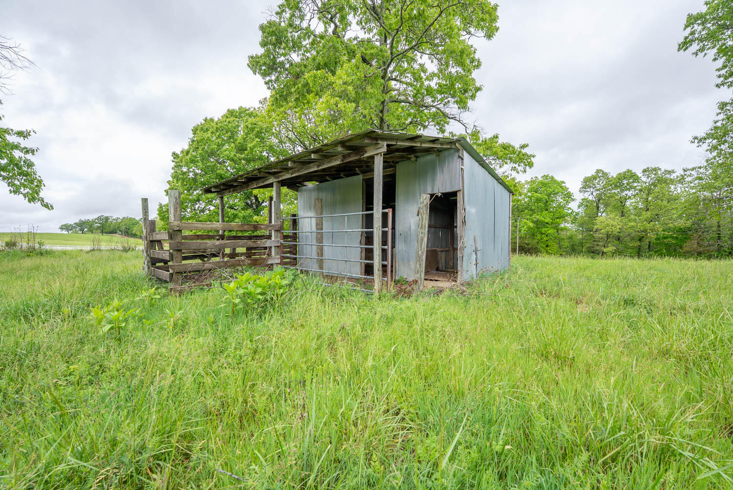 866 County Road 328 Property Photo 35