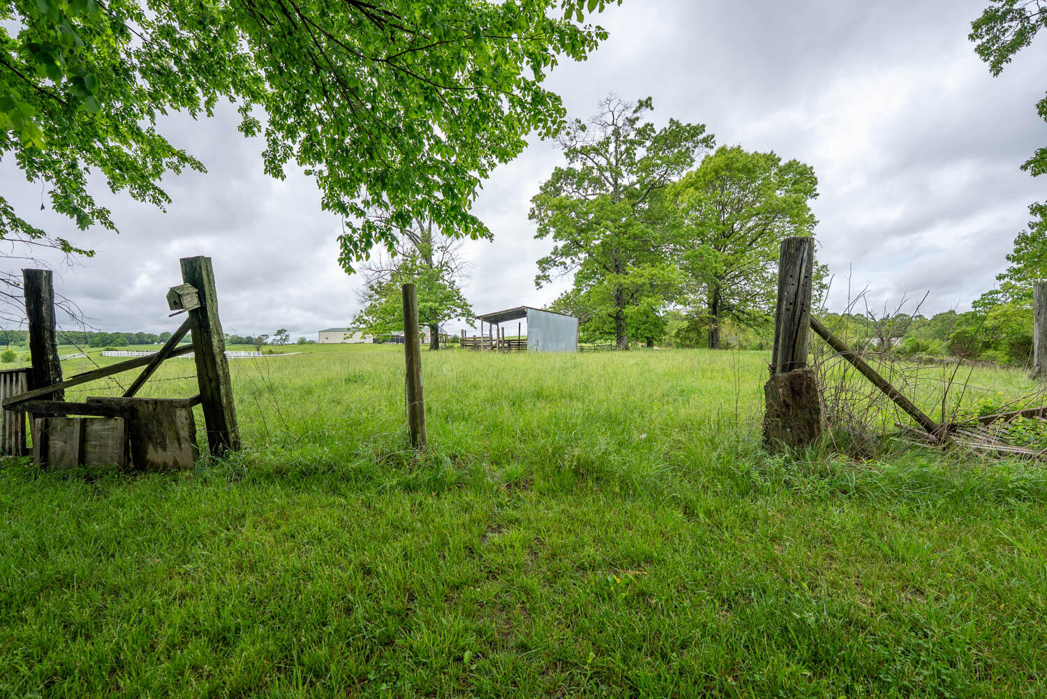 866 County Road 328 Property Photo 38