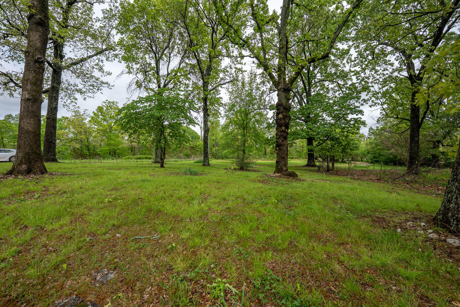 866 County Road 328 Property Photo 40