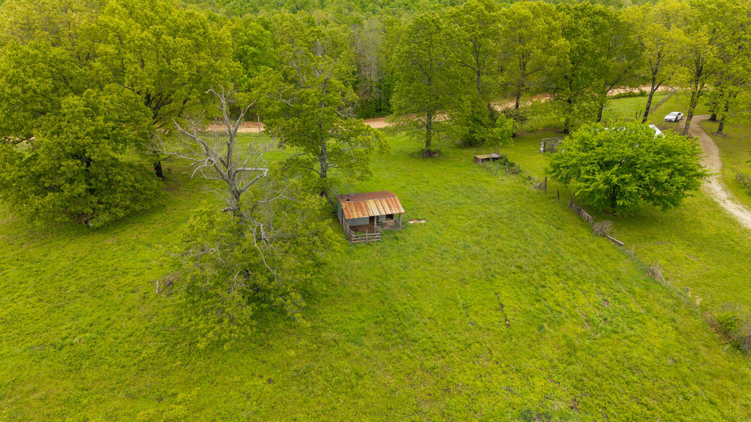 866 County Road 328 Property Photo 53
