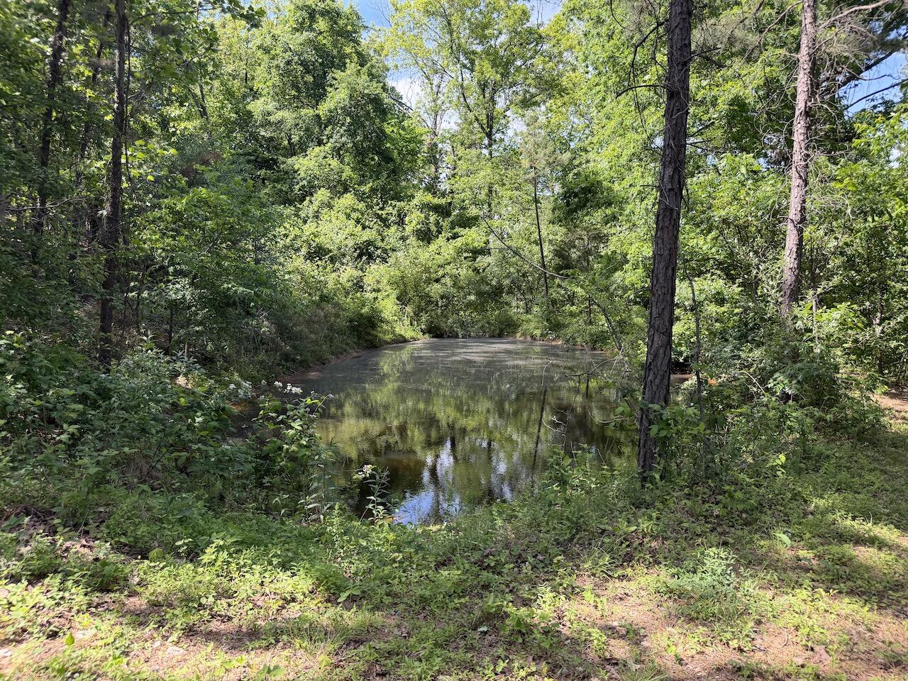 475 Whippet Drive Property Photo 111