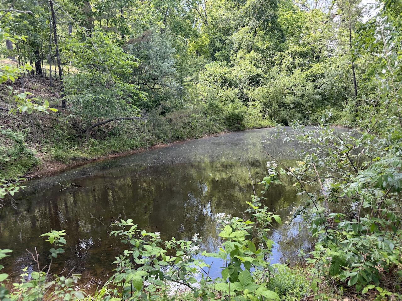 475 Whippet Drive Property Photo 112