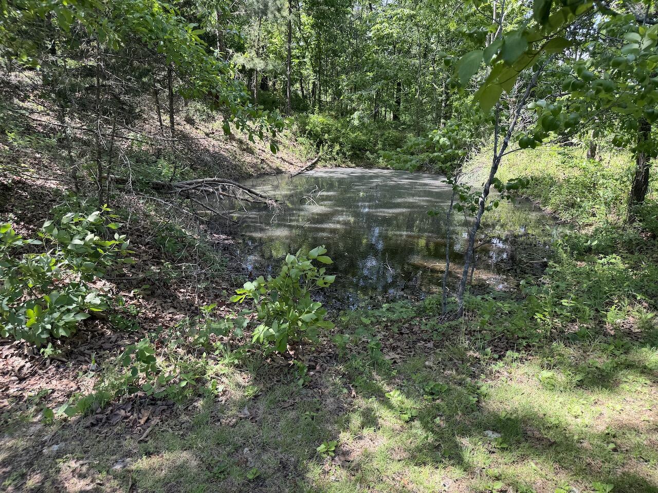 475 Whippet Drive Property Photo 113
