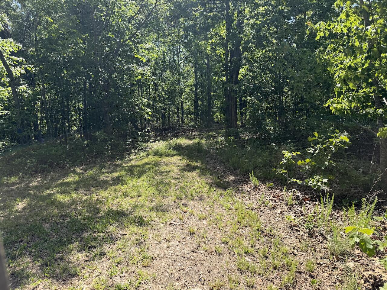 475 Whippet Drive Property Photo 120
