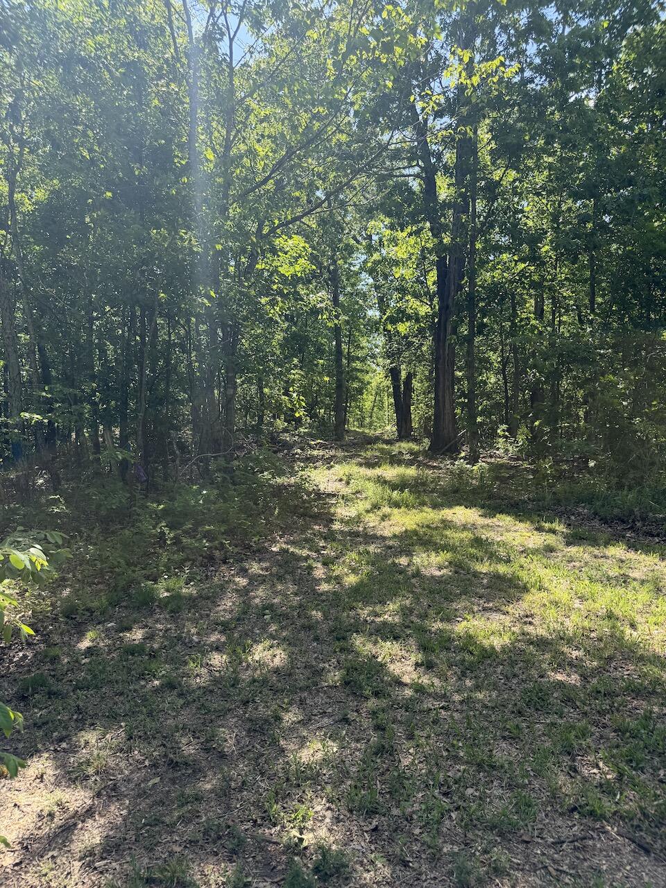 475 Whippet Drive Property Photo 121