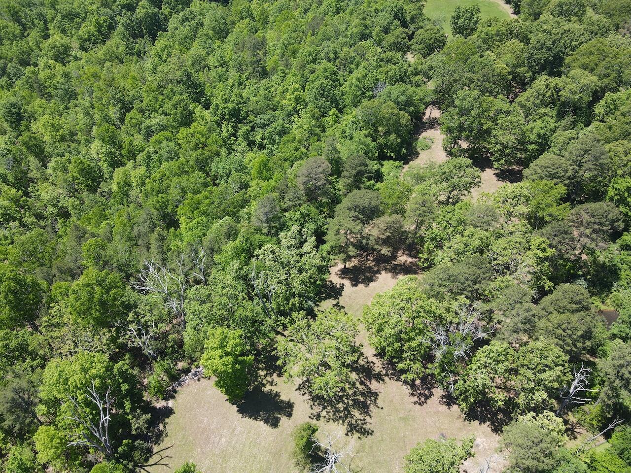 475 Whippet Drive Property Photo 122