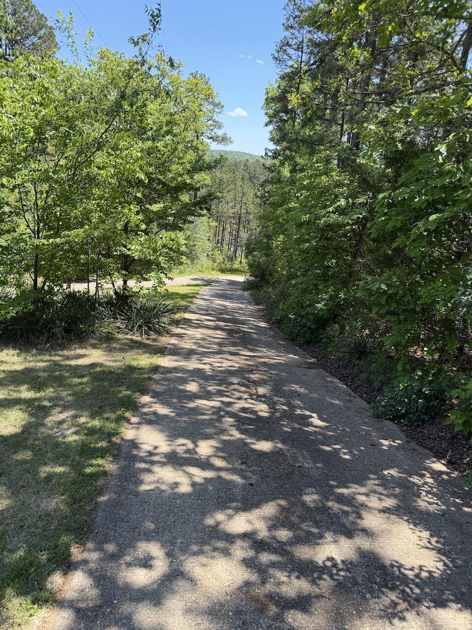 475 Whippet Drive Property Photo 127