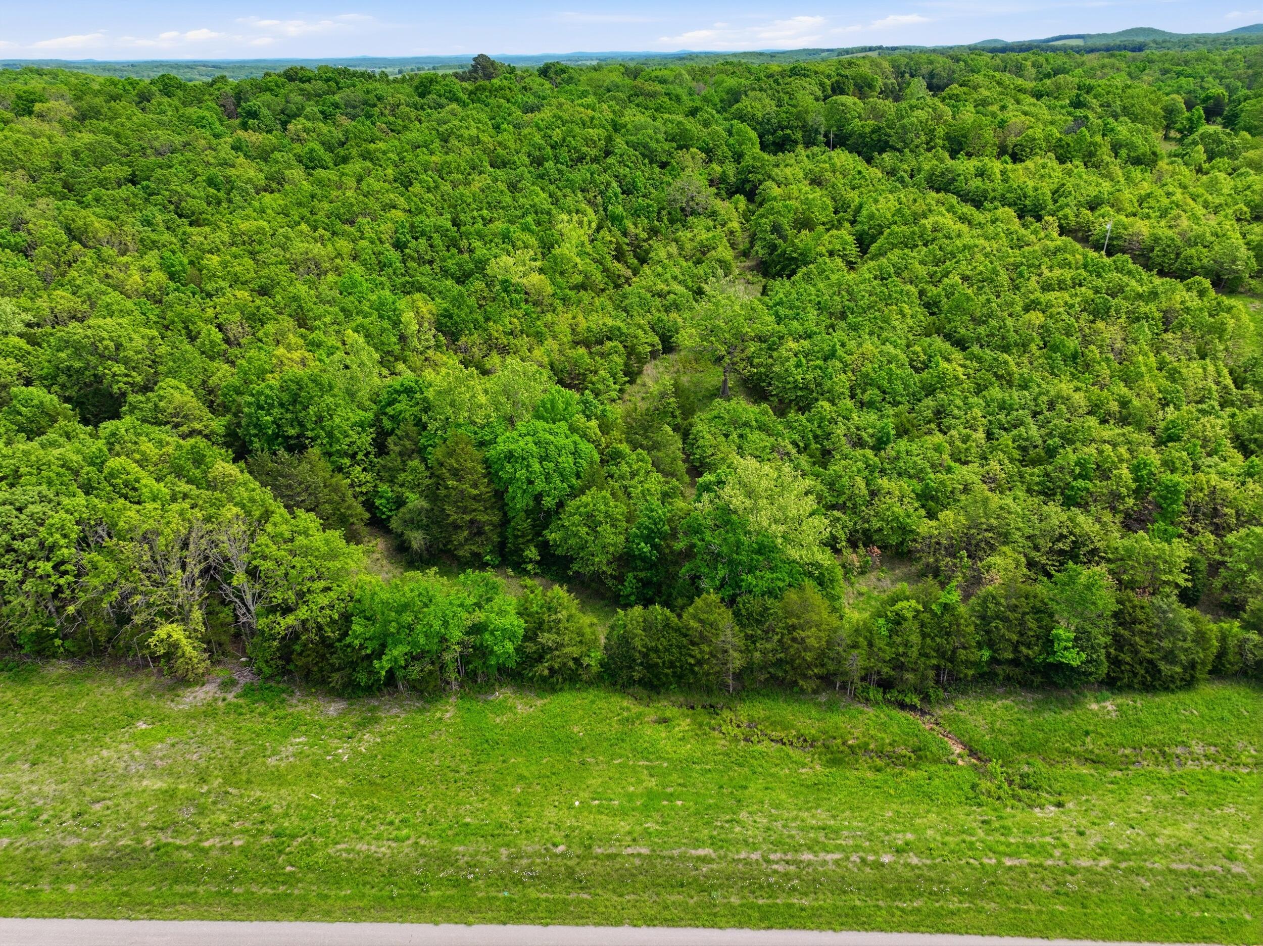 23736 State Highway 5 Property Photo 2