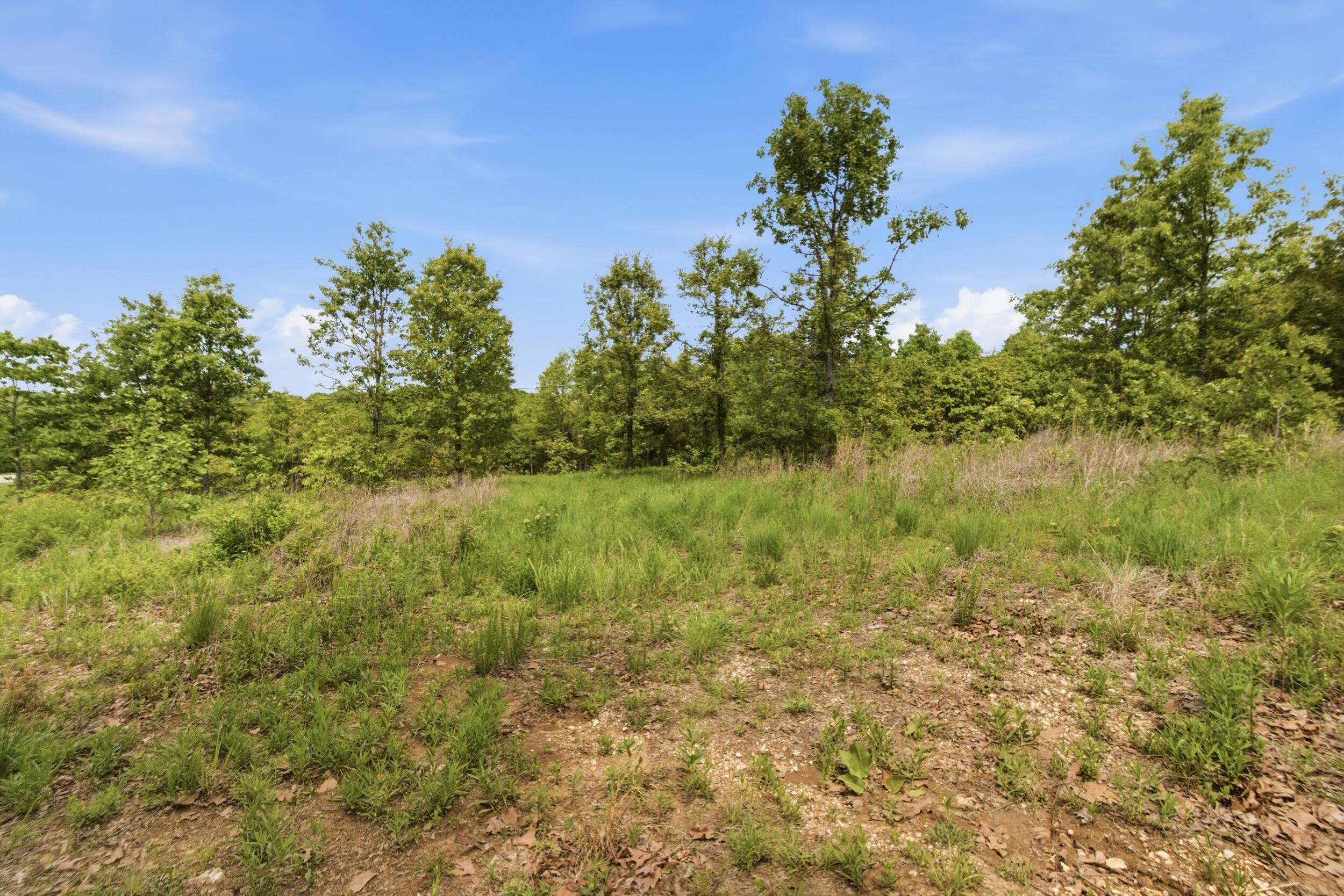 23736 State Highway 5 Property Photo 10