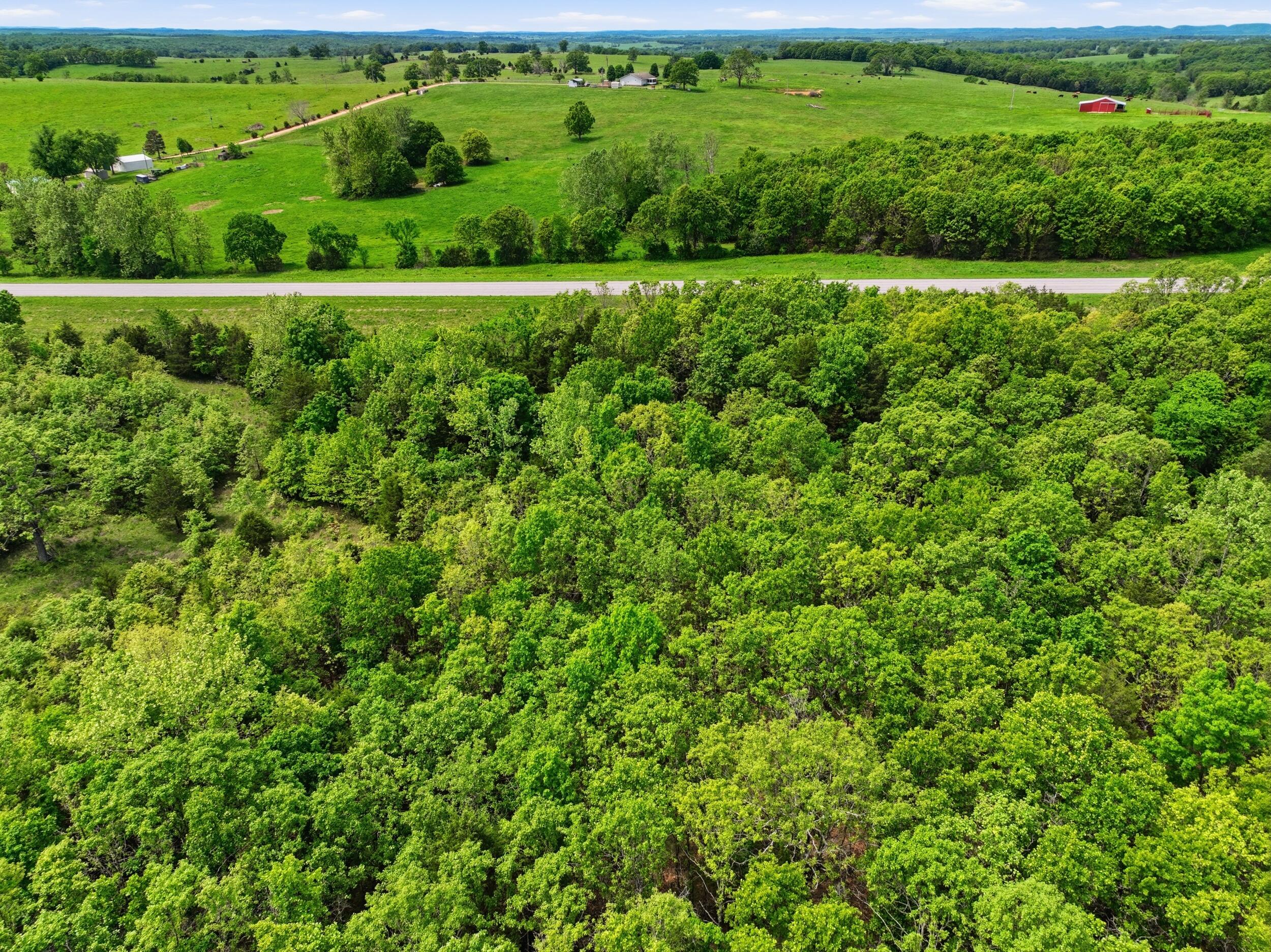 23736 State Highway 5 Property Photo 11