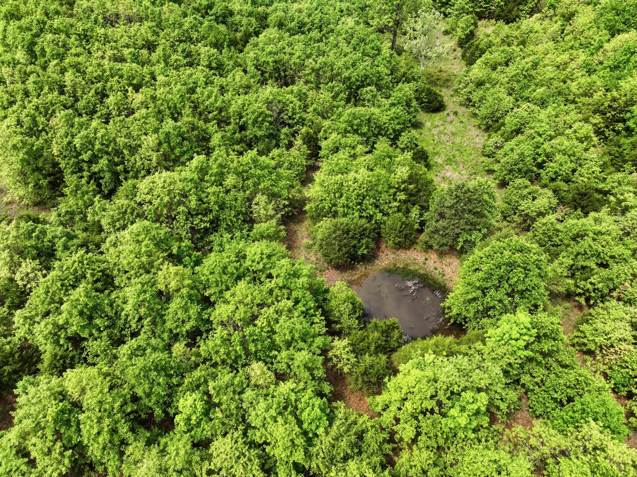 23736 State Highway 5 Property Photo 13