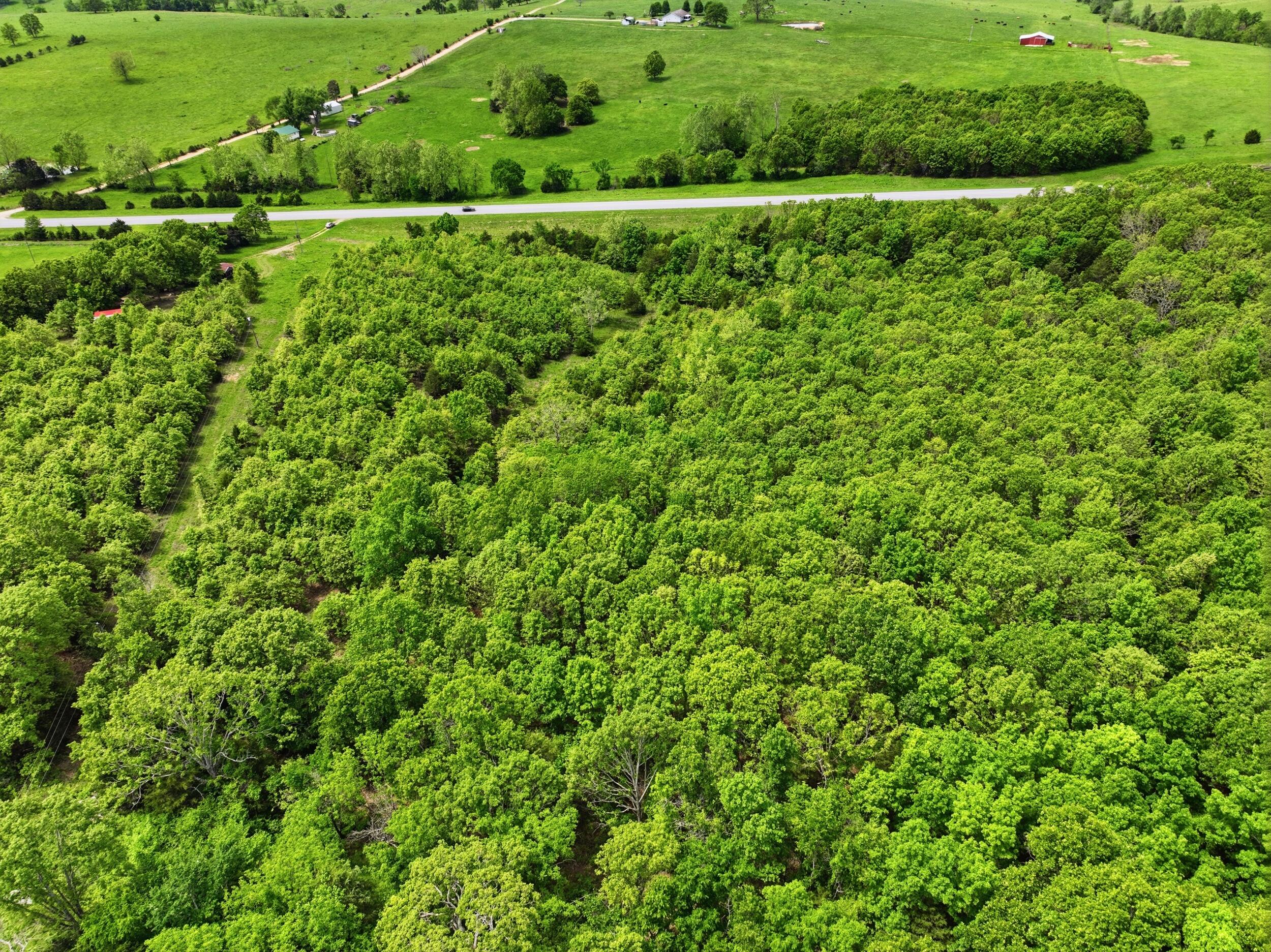 23736 State Highway 5 Property Photo 14