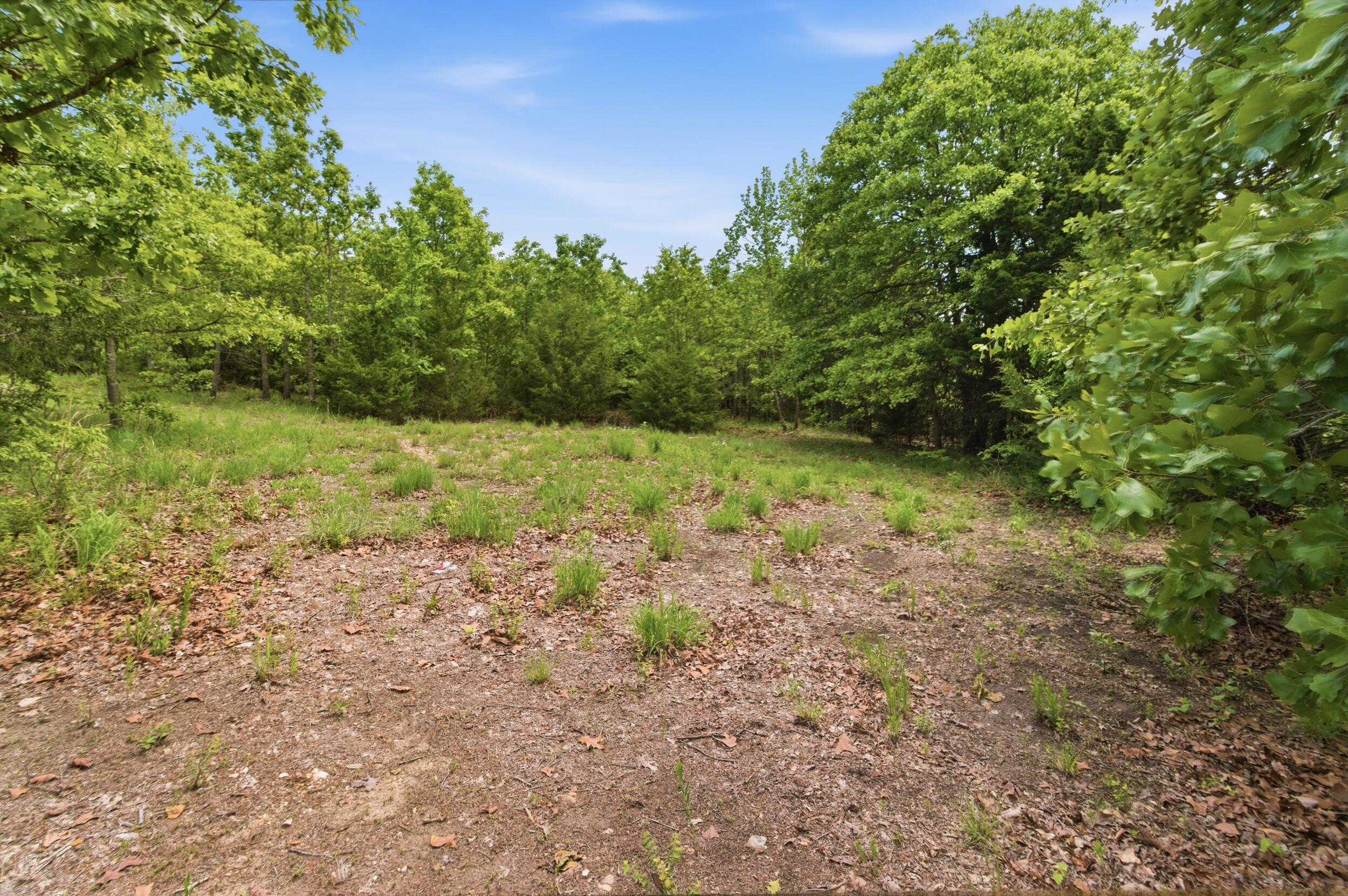 23736 State Highway 5 Property Photo 18