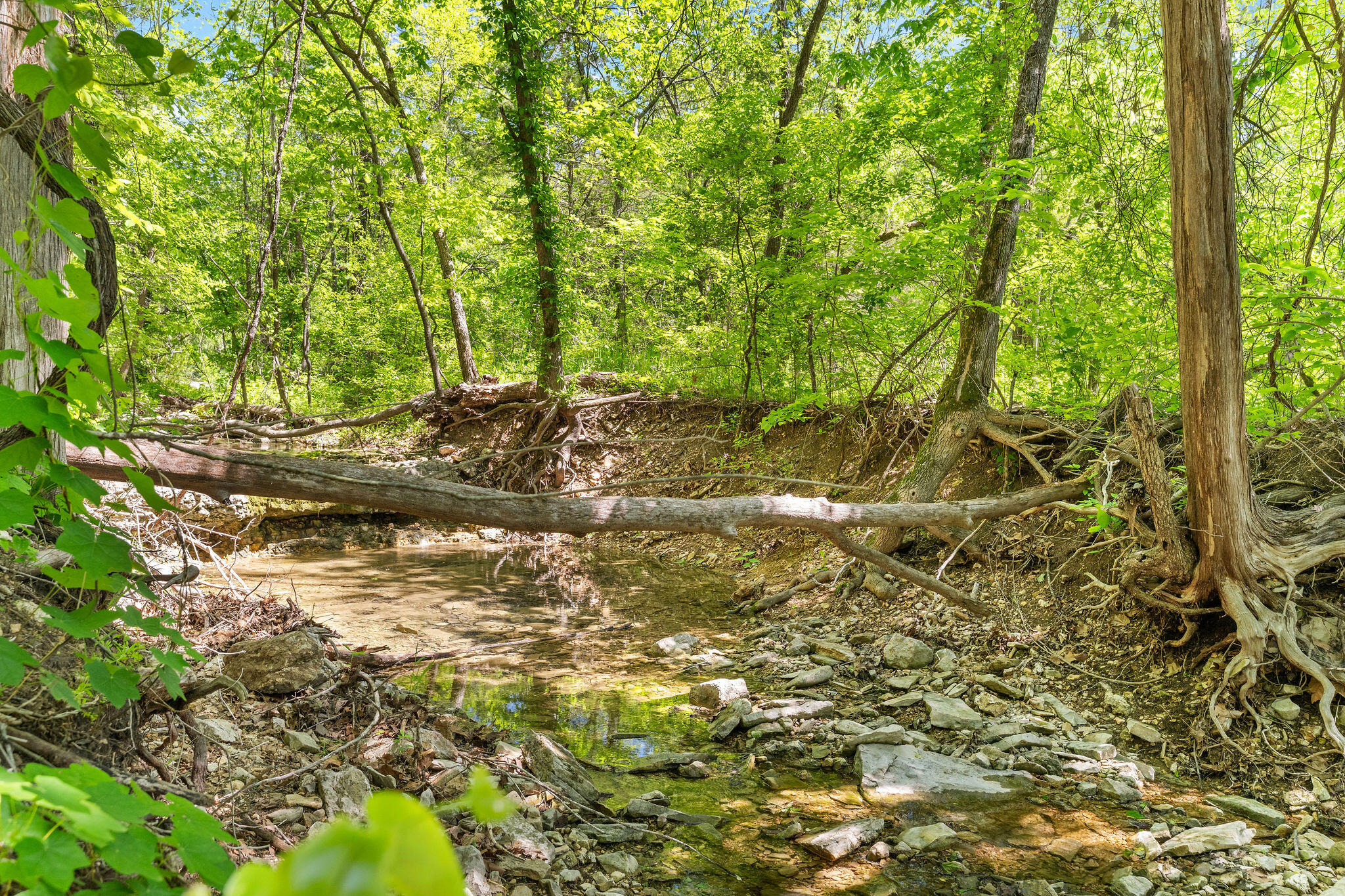 26071 Long Shadow Lane Property Photo 31