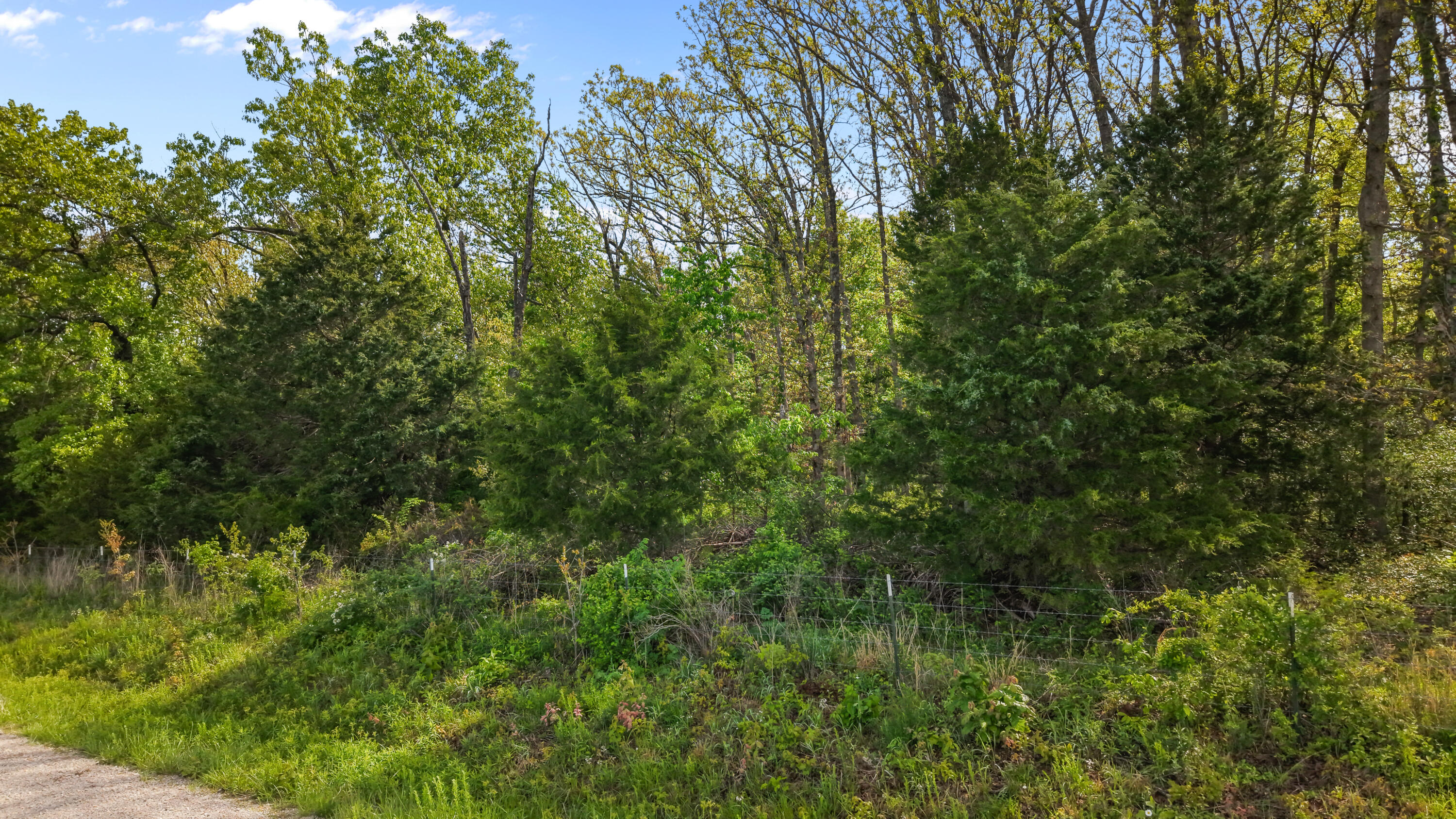 000 Country Trails Road Property Photo 3