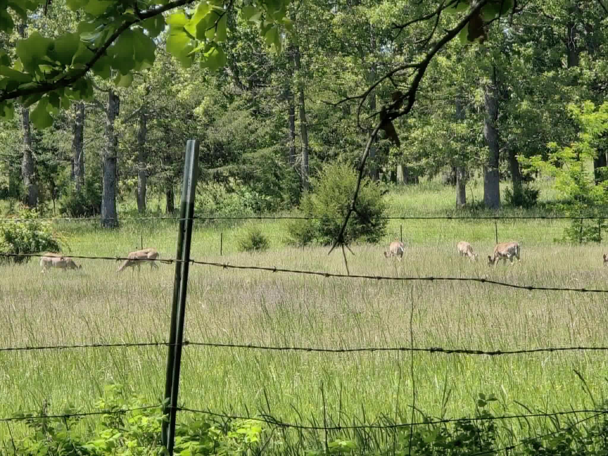 32497 Us Hwy 54 Highway Property Photo 43