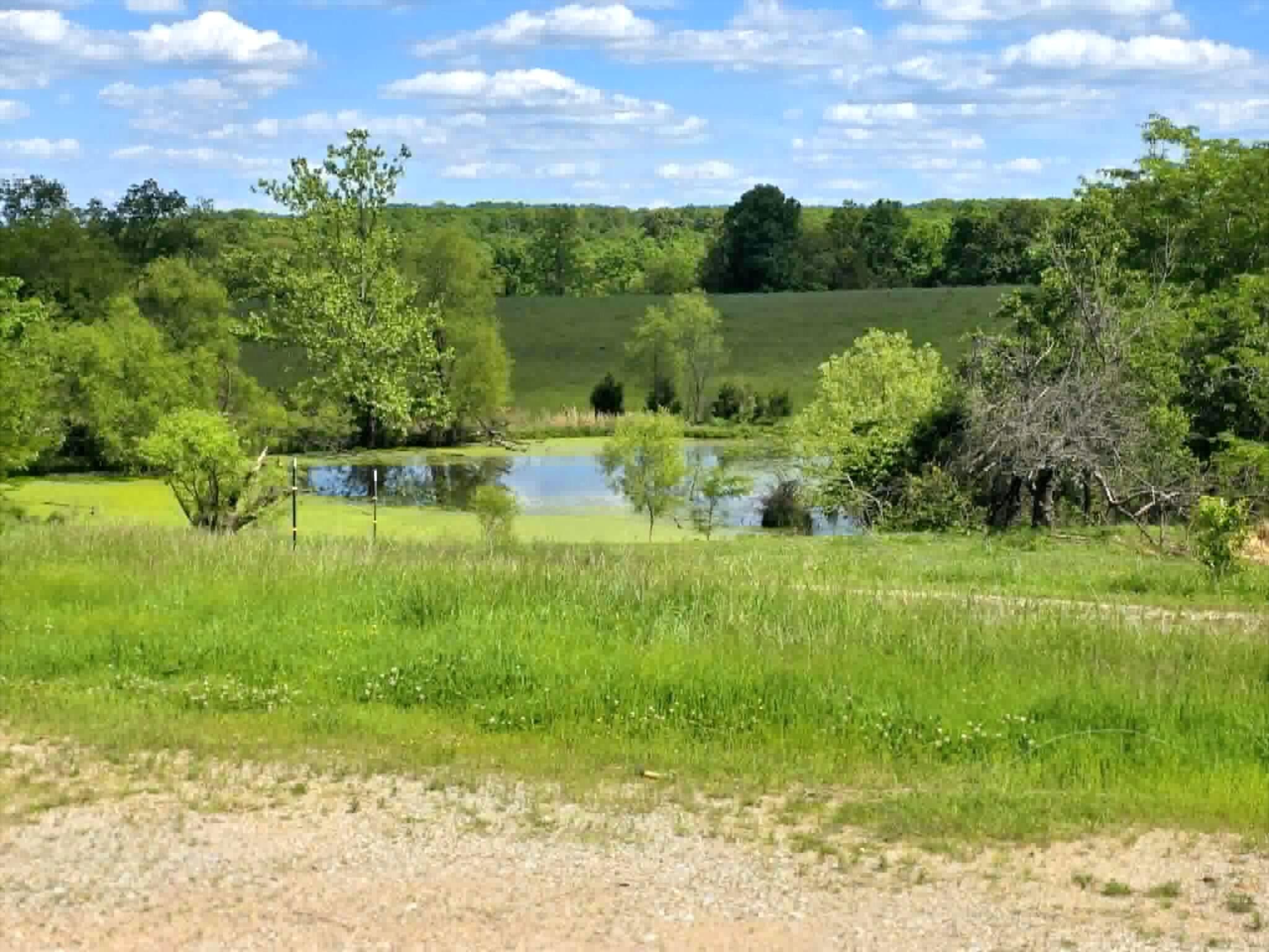 32497 Us Hwy 54 Highway Property Photo 45