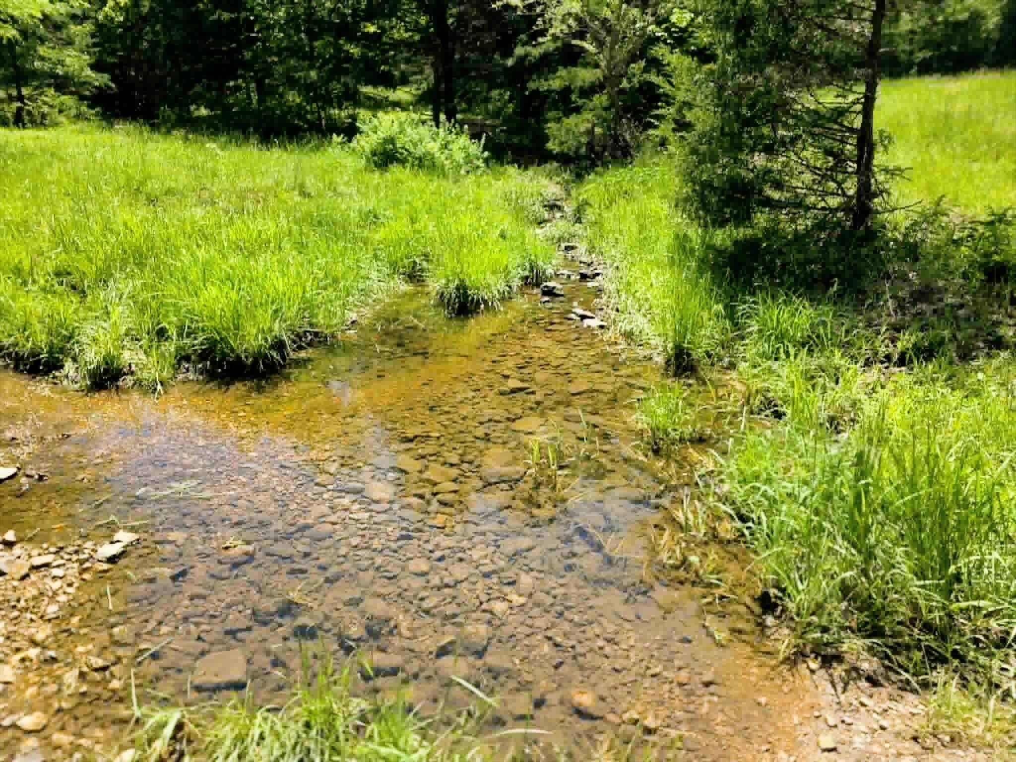 32497 Us Hwy 54 Highway Property Photo 46