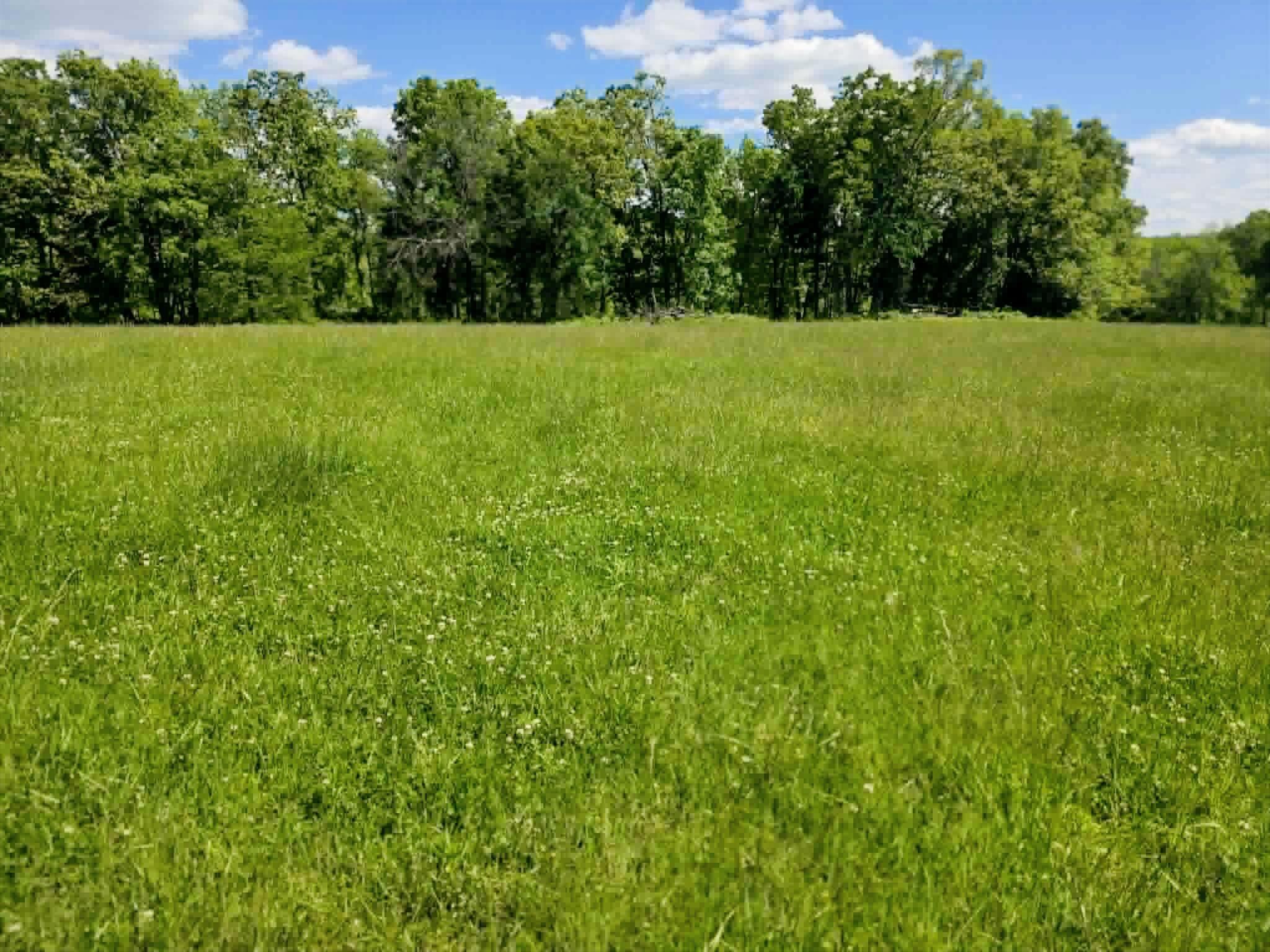 32497 Us Hwy 54 Highway Property Photo 49