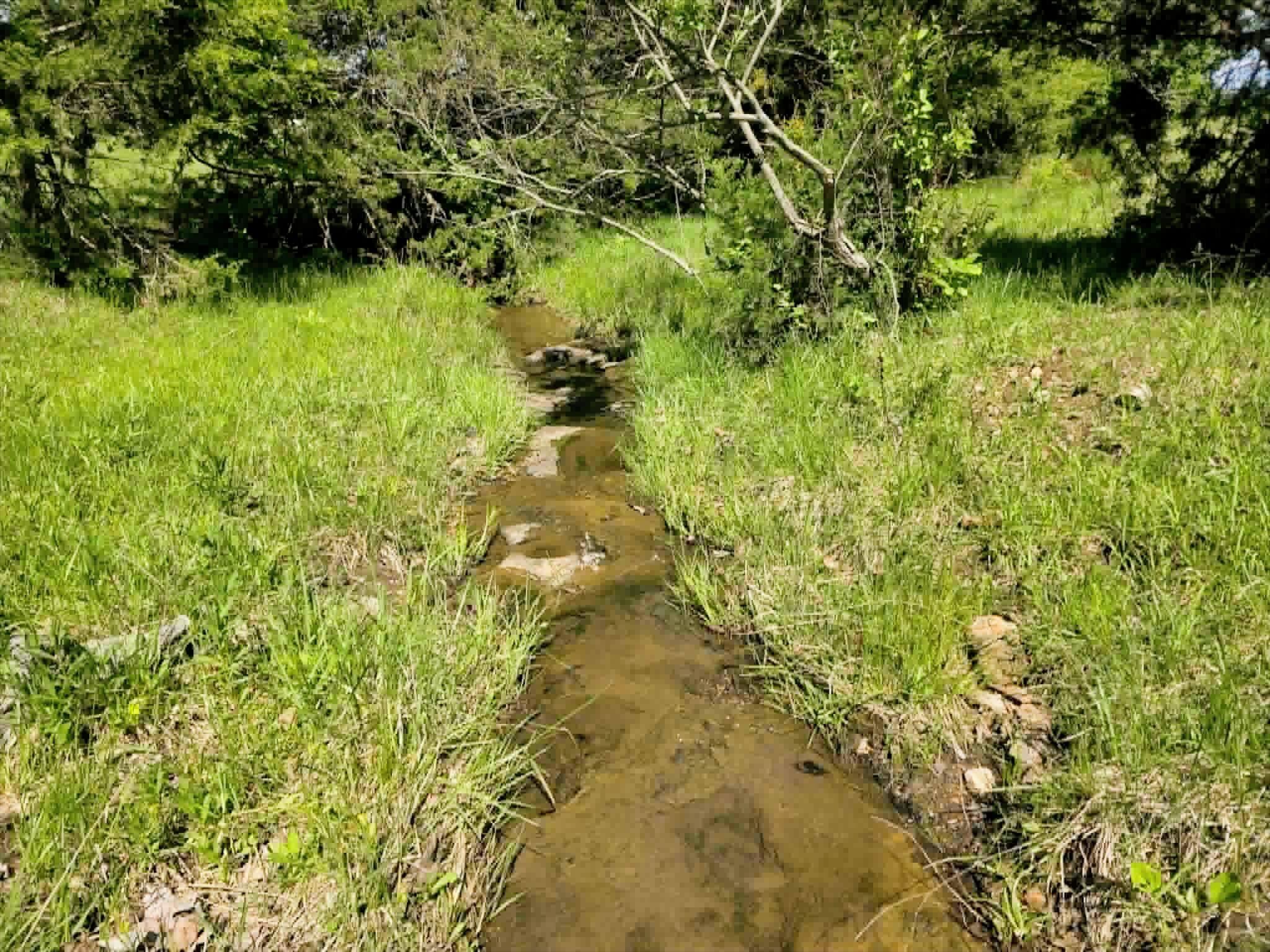 32497 Us Hwy 54 Highway Property Photo 60