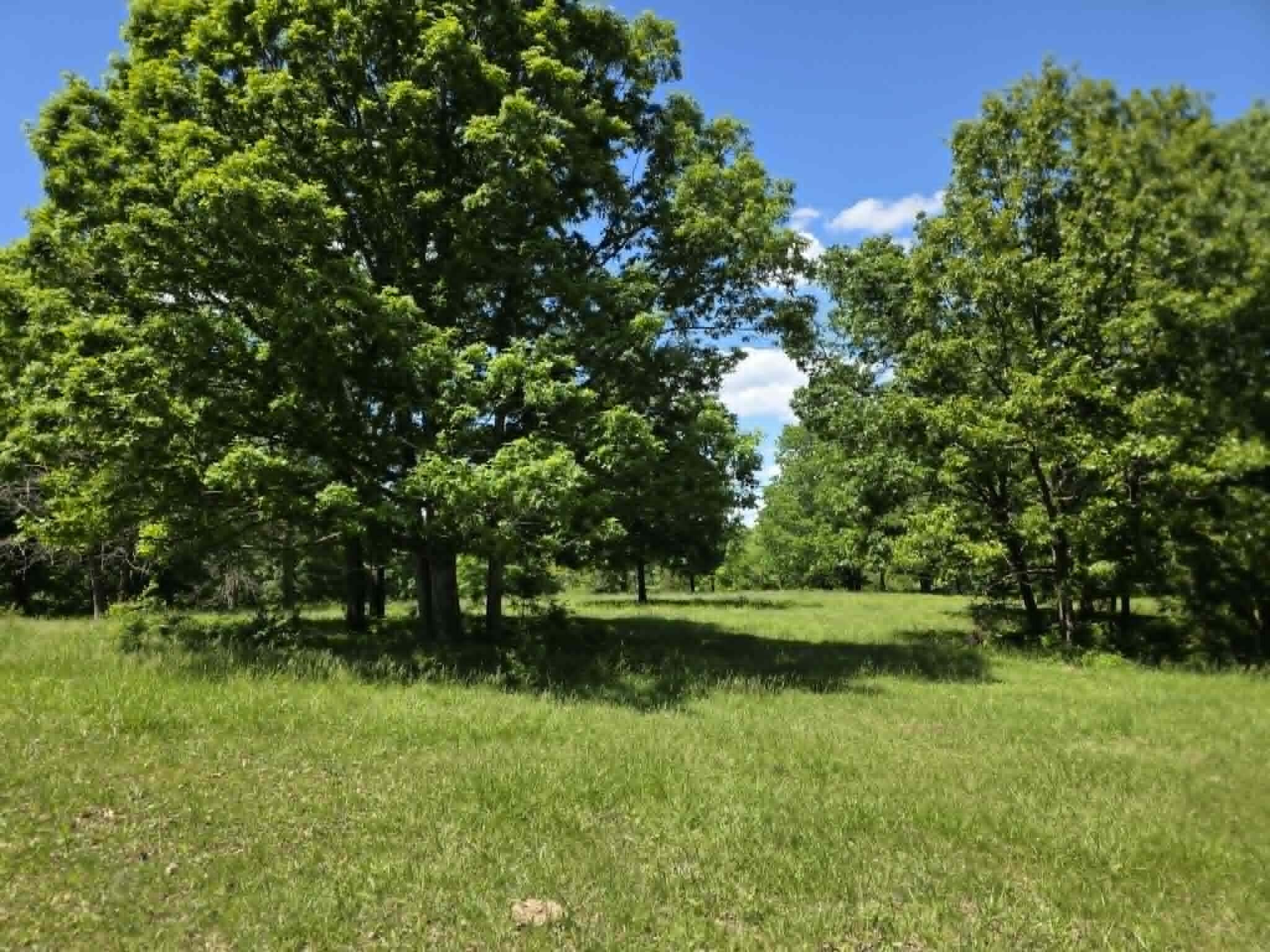 32497 Us Hwy 54 Highway Property Photo 63