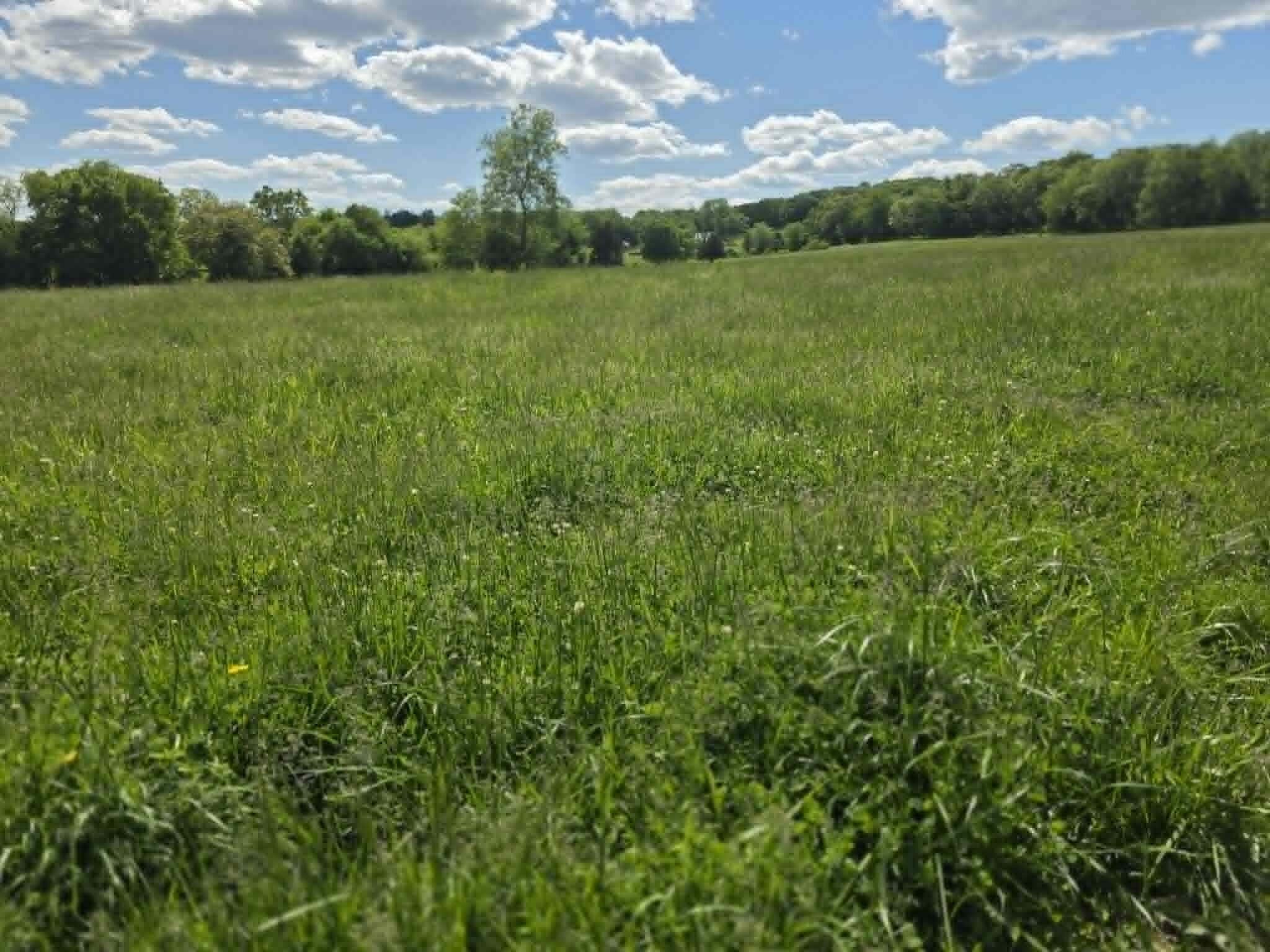 32497 Us Hwy 54 Highway Property Photo 74